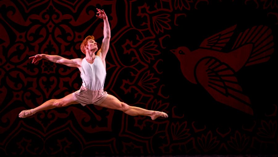 Exclusive Photos: Miami City Ballet Performs In BALLET ACROSS AMERICA at Kennedy Center Image