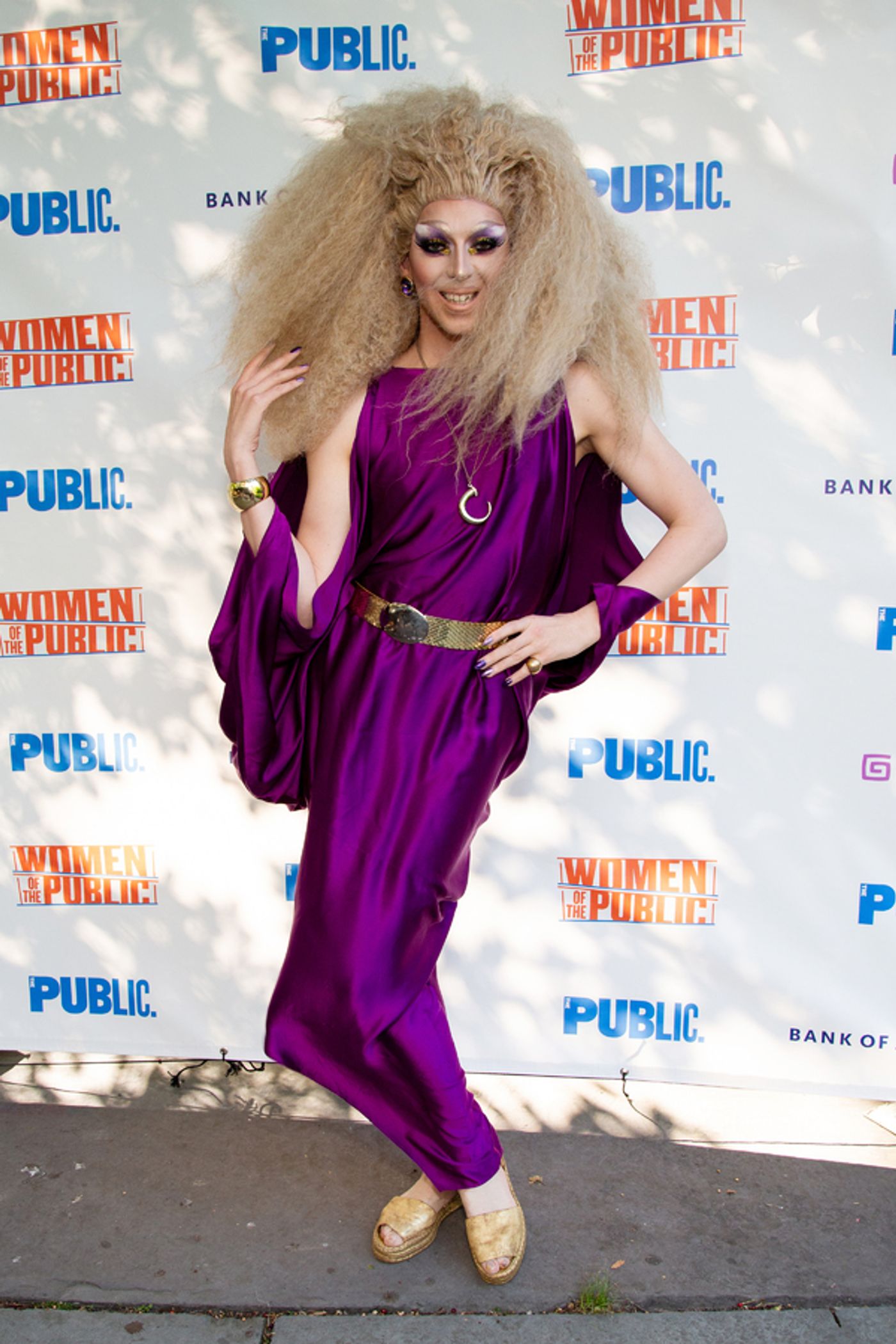 Photo Coverage: Ladies Unite at WOMEN OF THE PUBLIC Gala  Image