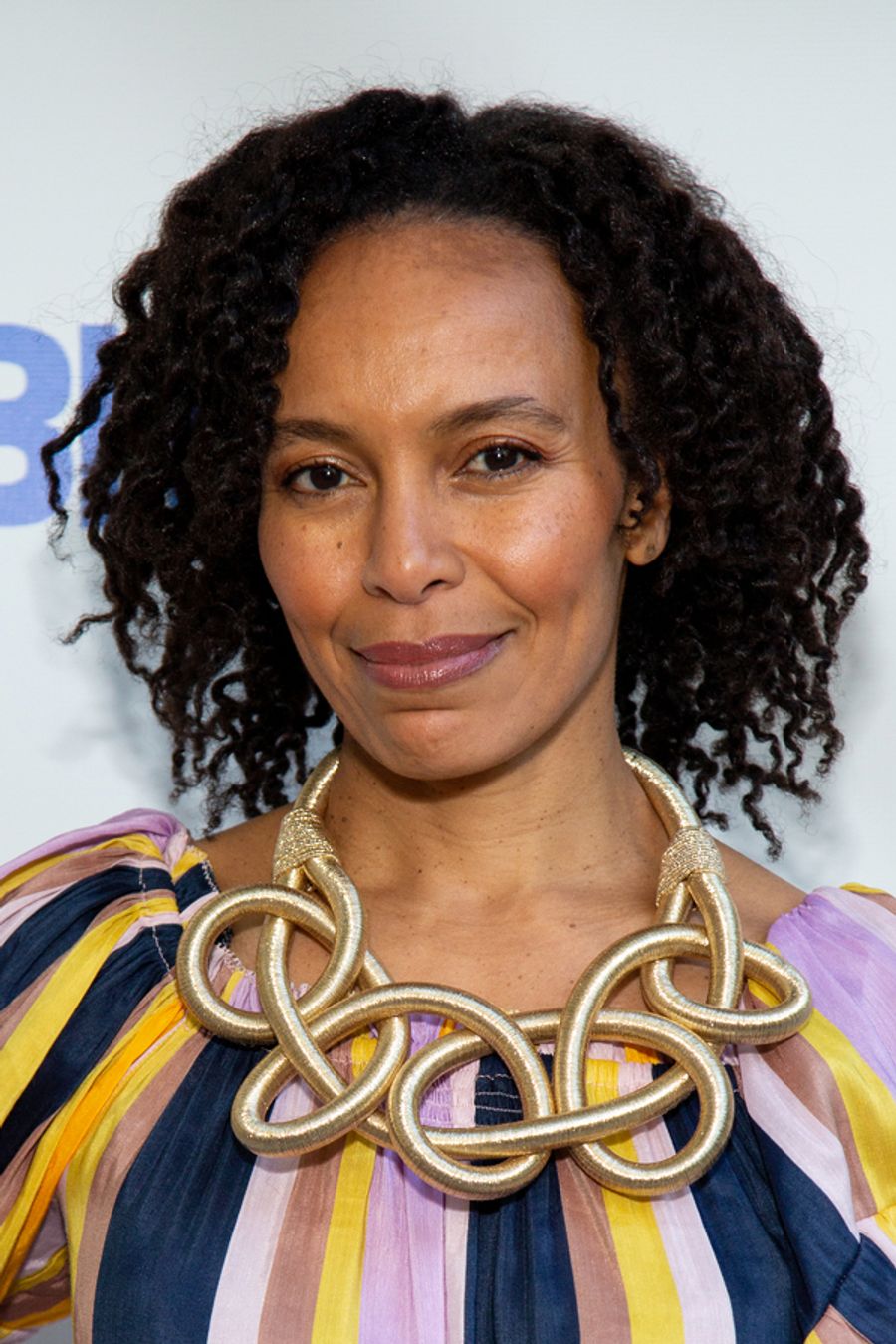 Photo Coverage: Ladies Unite at WOMEN OF THE PUBLIC Gala Image