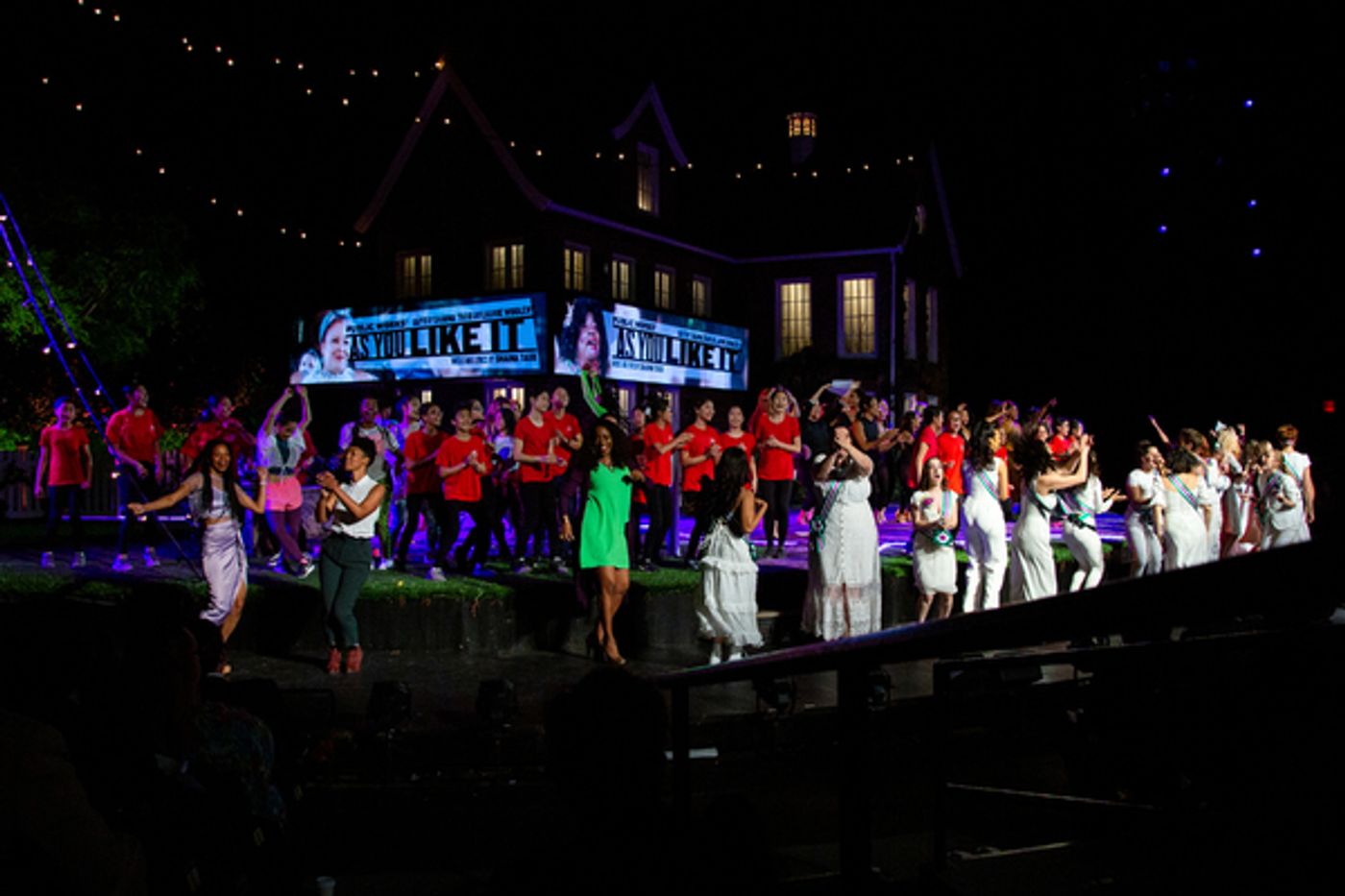 Photo Coverage: Ladies Unite at WOMEN OF THE PUBLIC Gala  Image