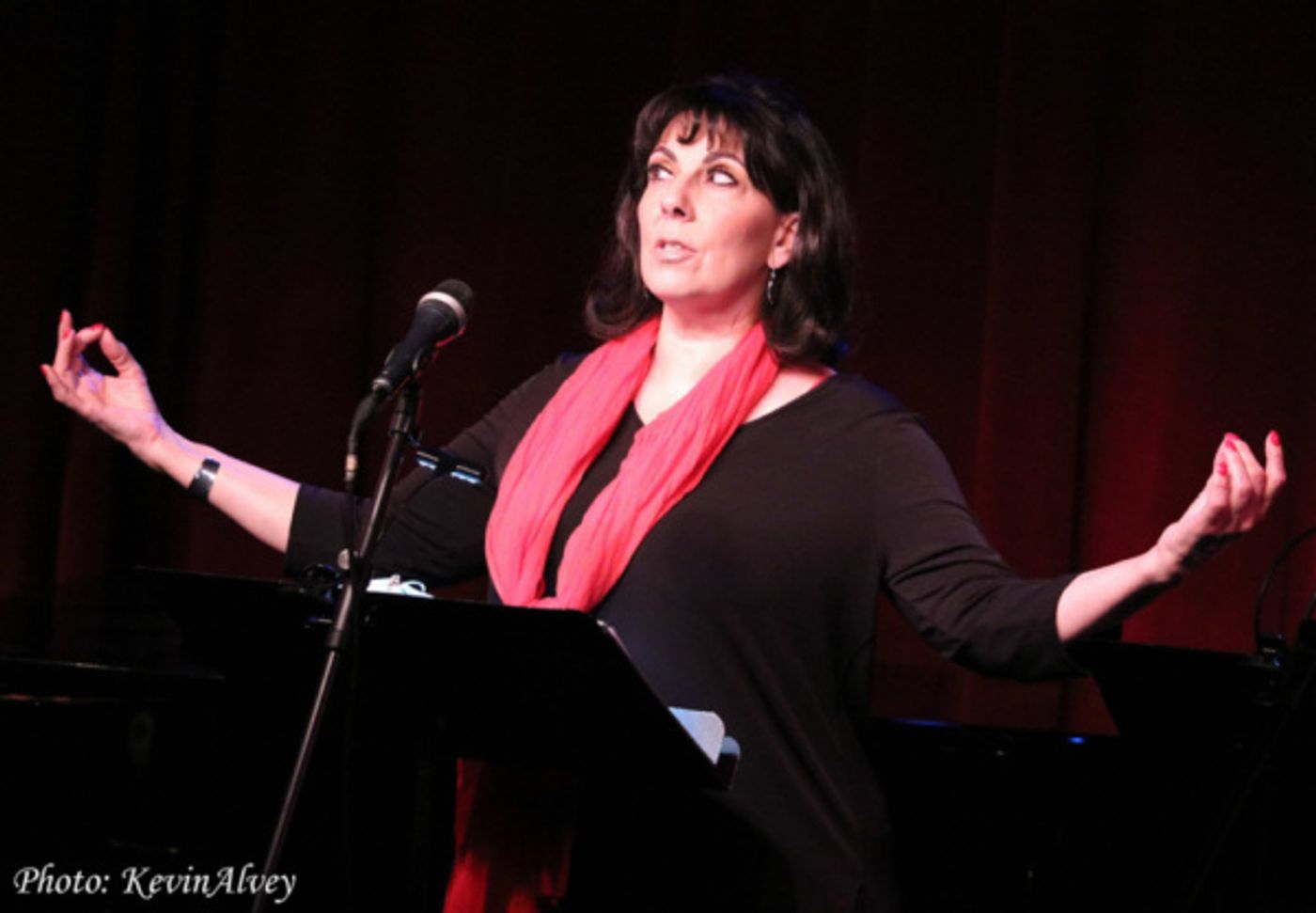 Photo Flash: The Broadway at Birdland Series Presents EVERYBODY RISE: A RESISTANCE CABARET  Image