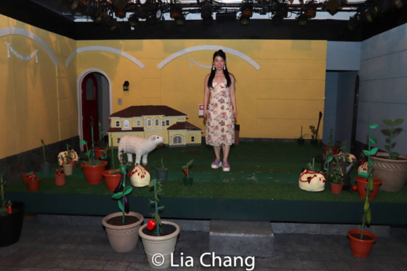 Photo Flash: Daniel K. Isaac, Julyana Soelistyo, Jennifer Lim, John D. Haggerty And More Celebrate YOU NEVER TOUCHED THE DIRT Opening Night  Image