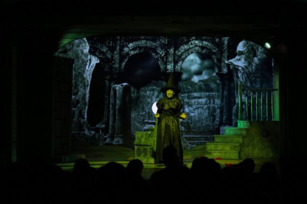 Photo Flash: First Look at THE WIZARD OF OZ at Sierra Rep  Image