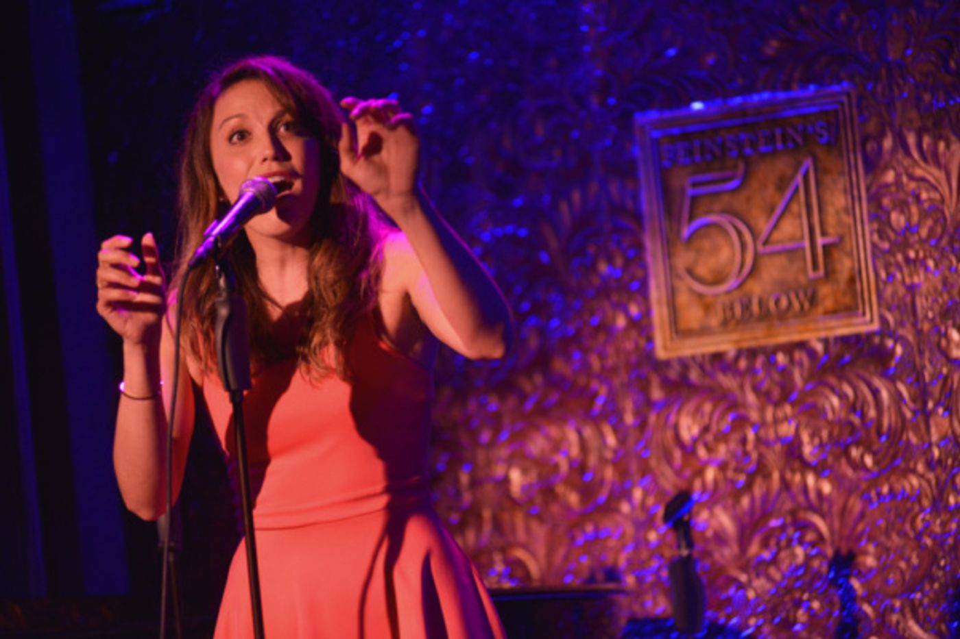Photo Flash: Inside I WISH:The Roles That Could Have Been At 54 Below  Image