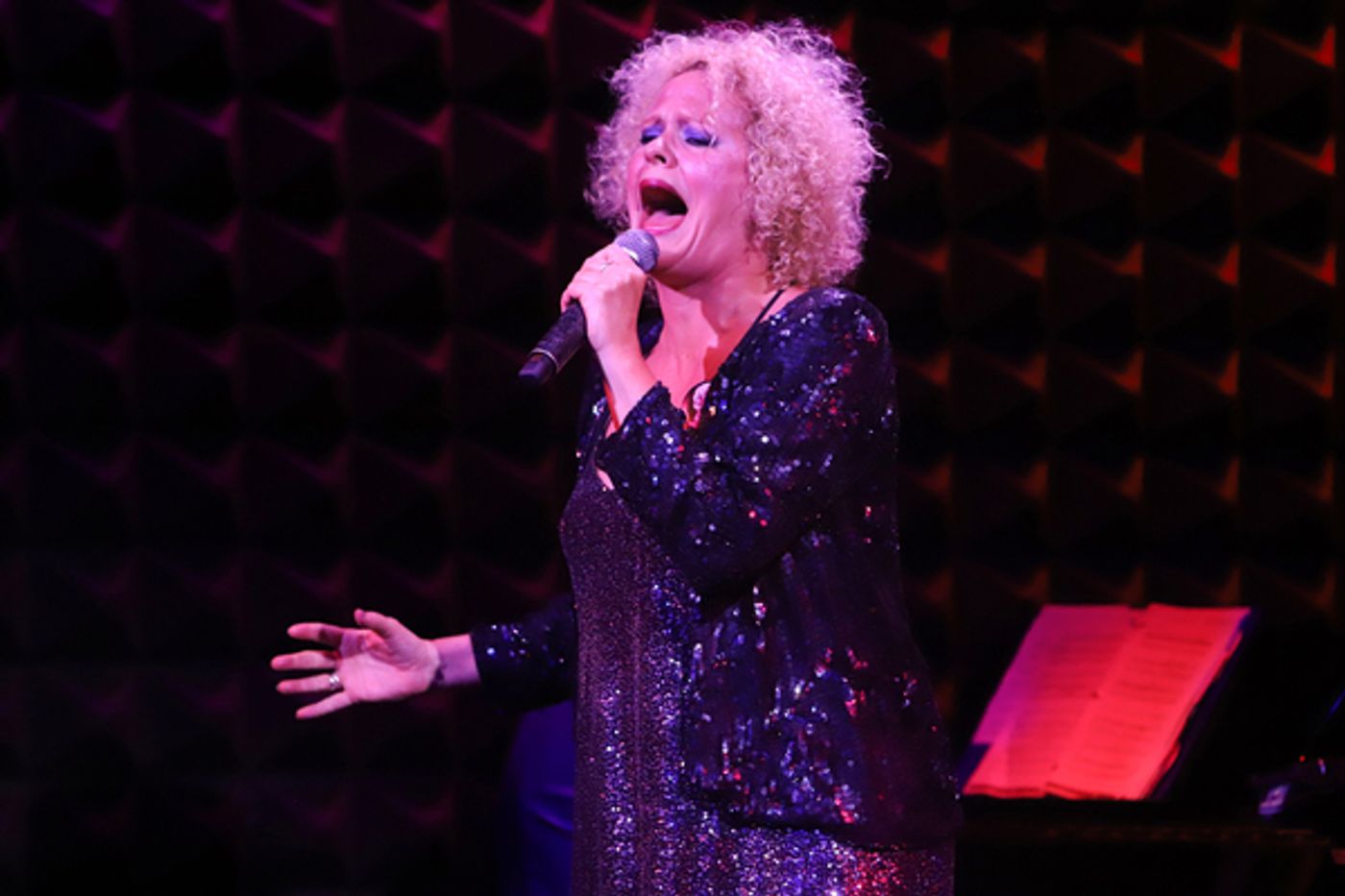 Photo Flash: 7th Annual NIGHT OF A THOUSAND JUDYS At Joe's Pub  Image