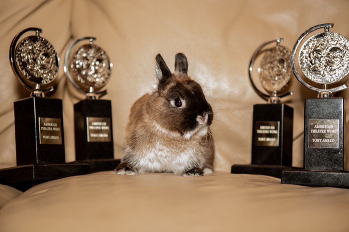 Photo Coverage: The Company of THE FERRYMAN Celebrates Their Tony Victory!  Image