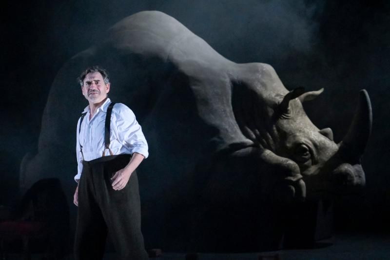 Review: RHINOCEROS at American Conservatory Theatre Image