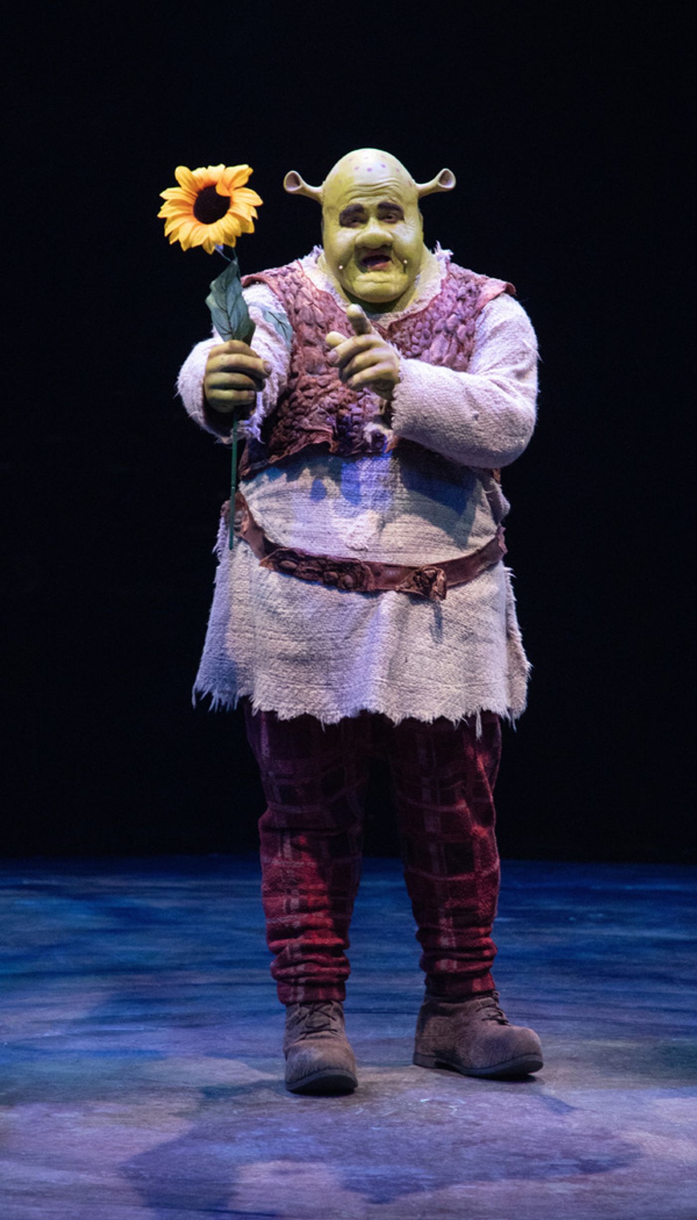 Photo Flash: Get A First Look At SHREK at Sacramento Music Circus Photo Flash: Get A First Look At SHREK at Sacramento Music Circus Image