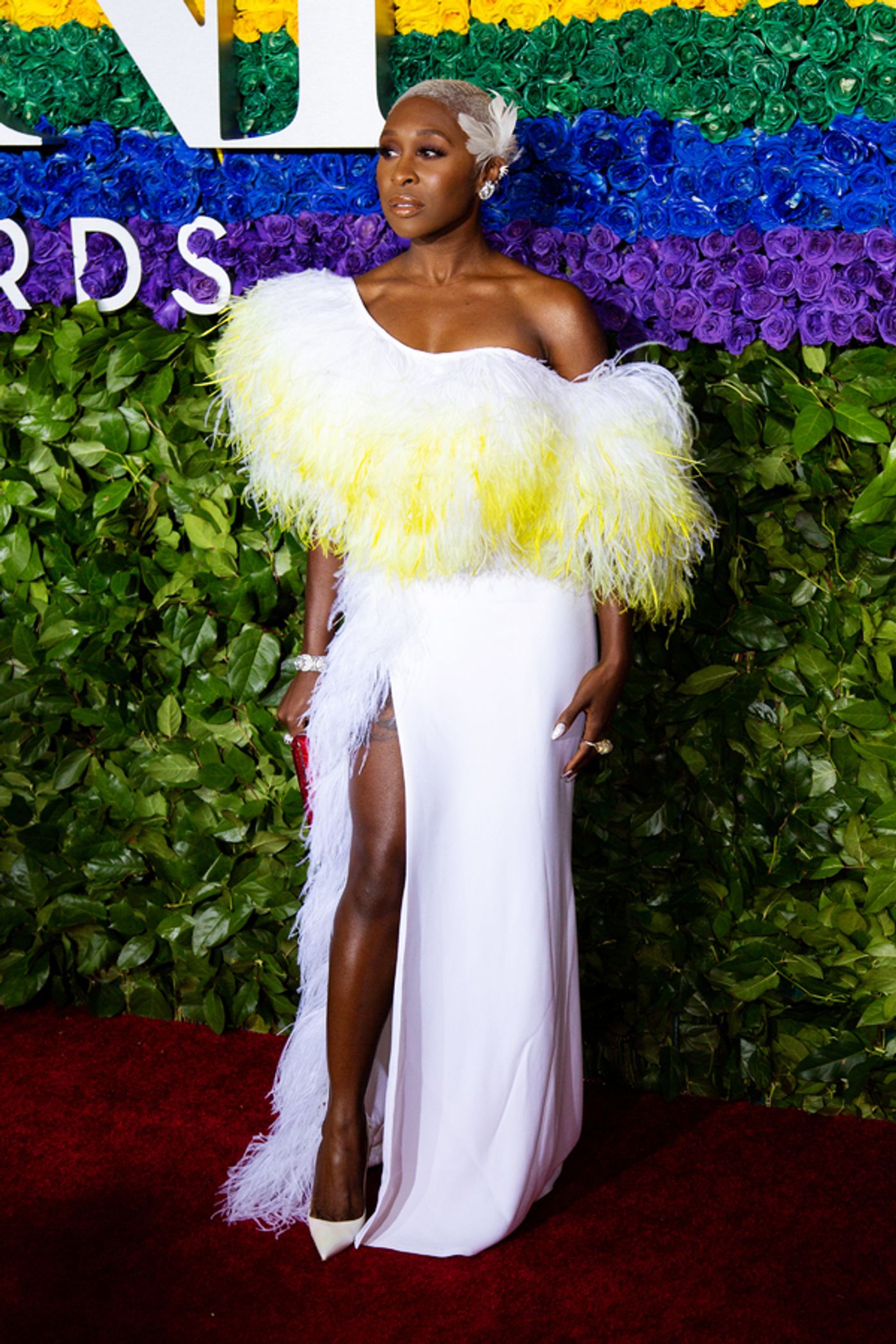 Photo Coverage: Stars Shine on the Red Carpet at the 2019 Tony Awards  Image