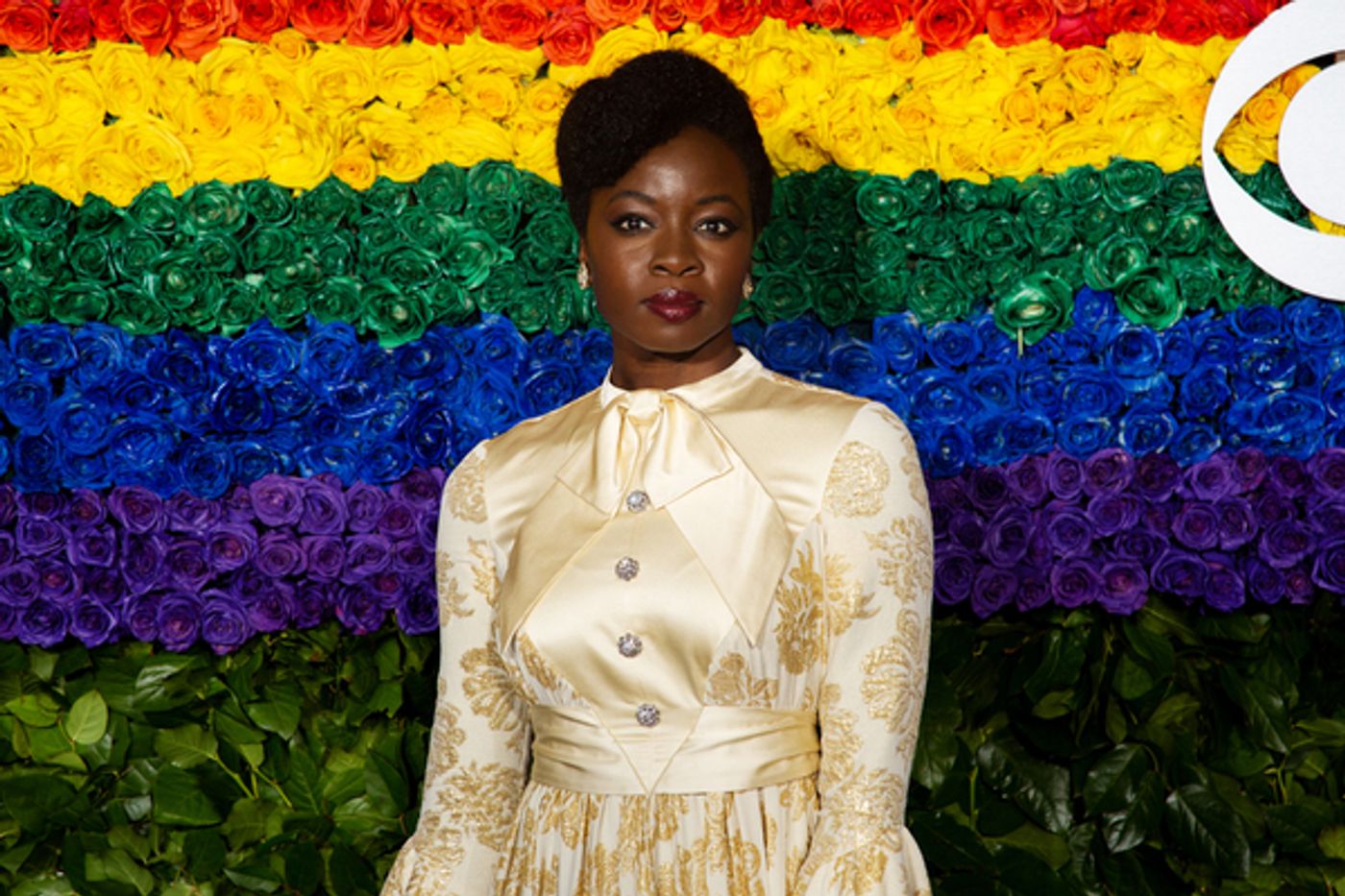 Photo Coverage: Stars Shine on the Red Carpet at the 2019 Tony Awards  Image
