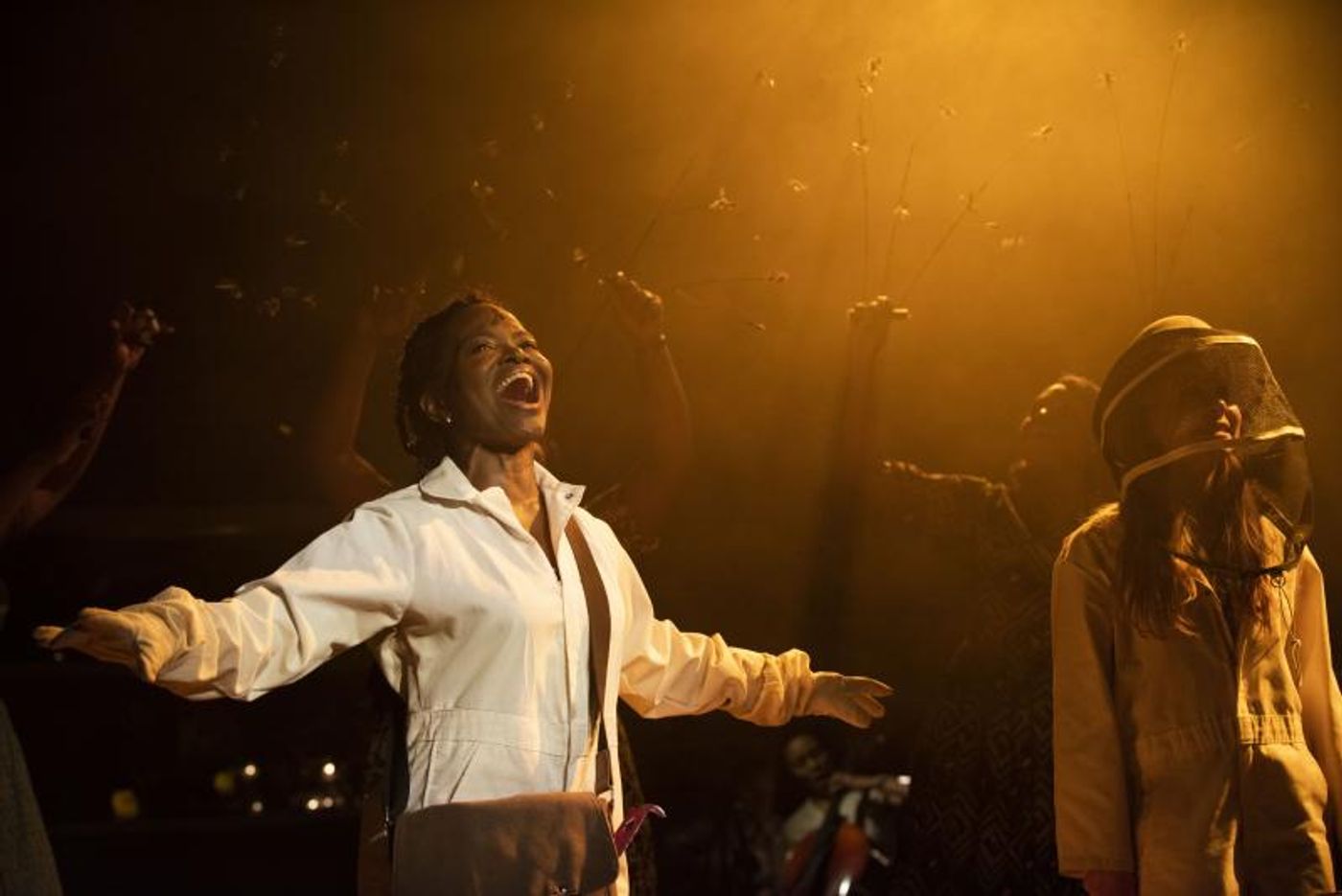 Review: Lynn Nottage, Duncan Sheik and Susan Birkenhead's Beautiful and Thrilling THE SECRET LIFE OF BEES Review: Lynn Nottage, Duncan Sheik and Susan Birkenhead's Beautiful and Thrilling THE SECRET LIFE OF BEES Image