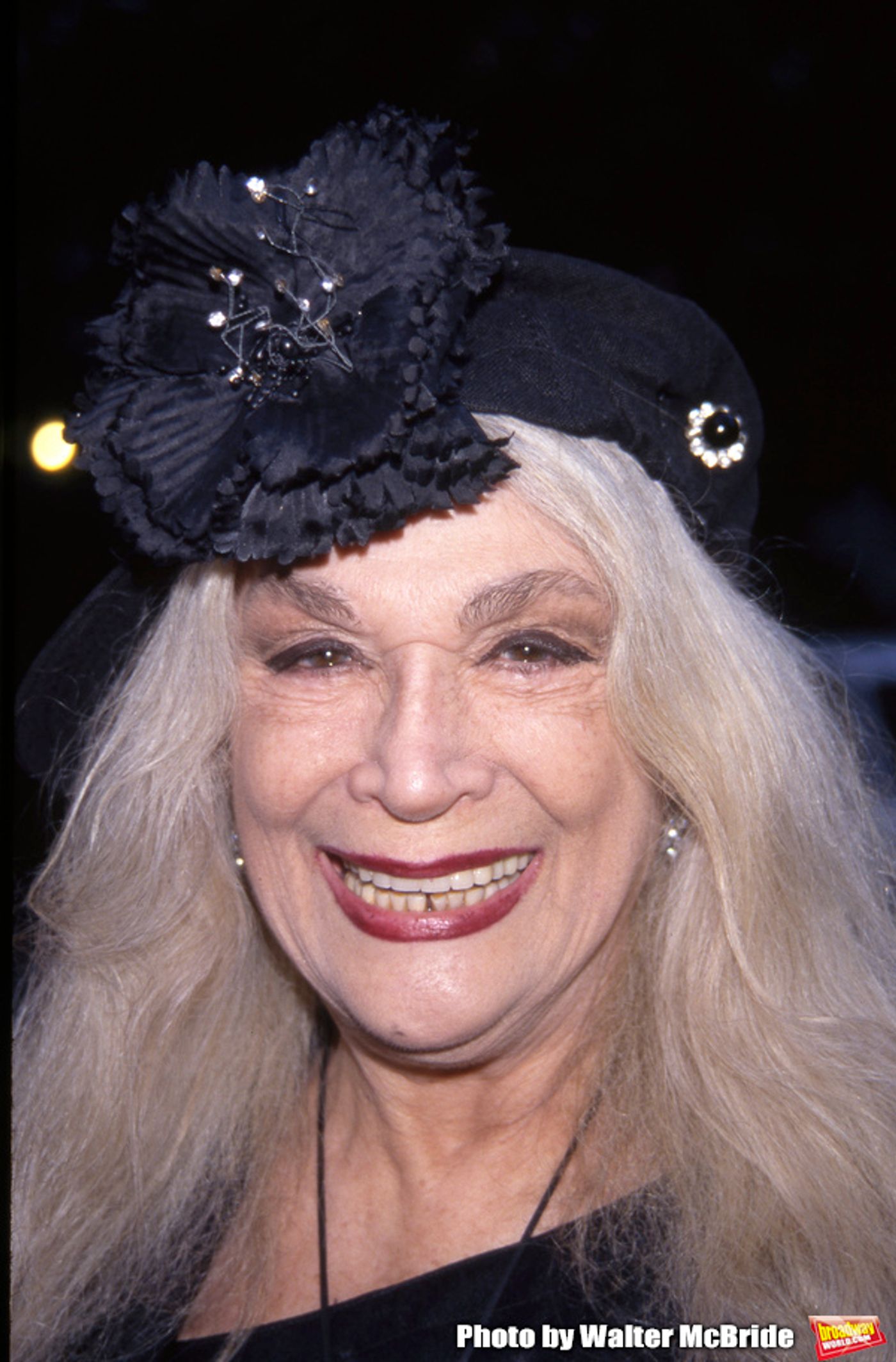 BWW Flashback: Remembering Sylvia Miles  Image