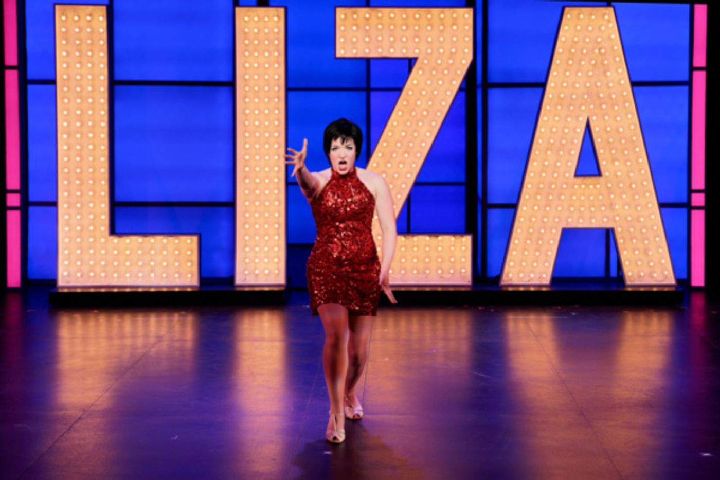 Photo Flash: THE BOY FROM OZ Dazzles Audiences At STAGES St. Louis  Image