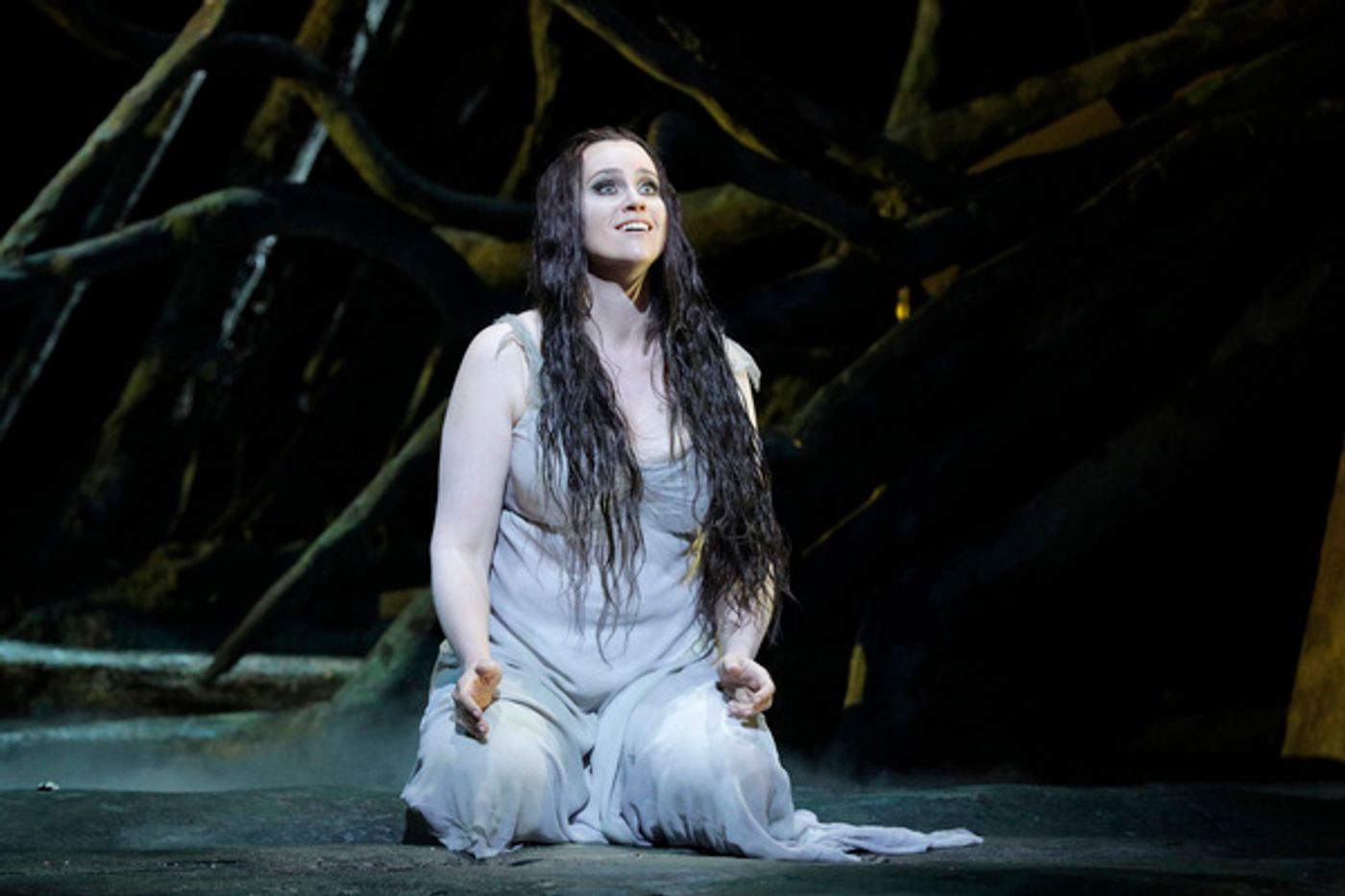 Photo Flash: First Look at San Francisco Opera's RUSALKA  Image