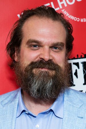 David Harbour @ BroadwayWorld David Harbour Photo