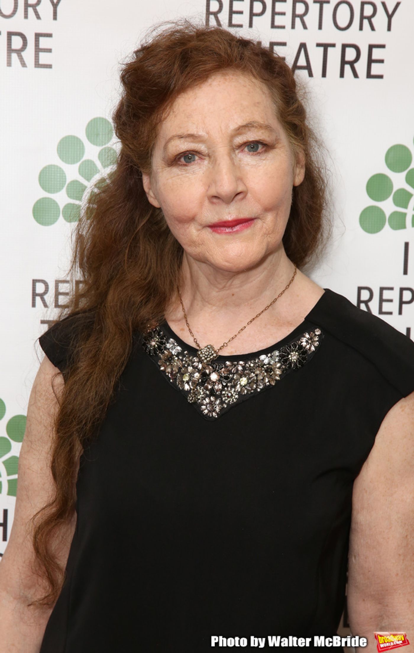 Photo Coverage: Inside Irish Repertory Theatre's 30th Anniversary Celebration Gala  Image