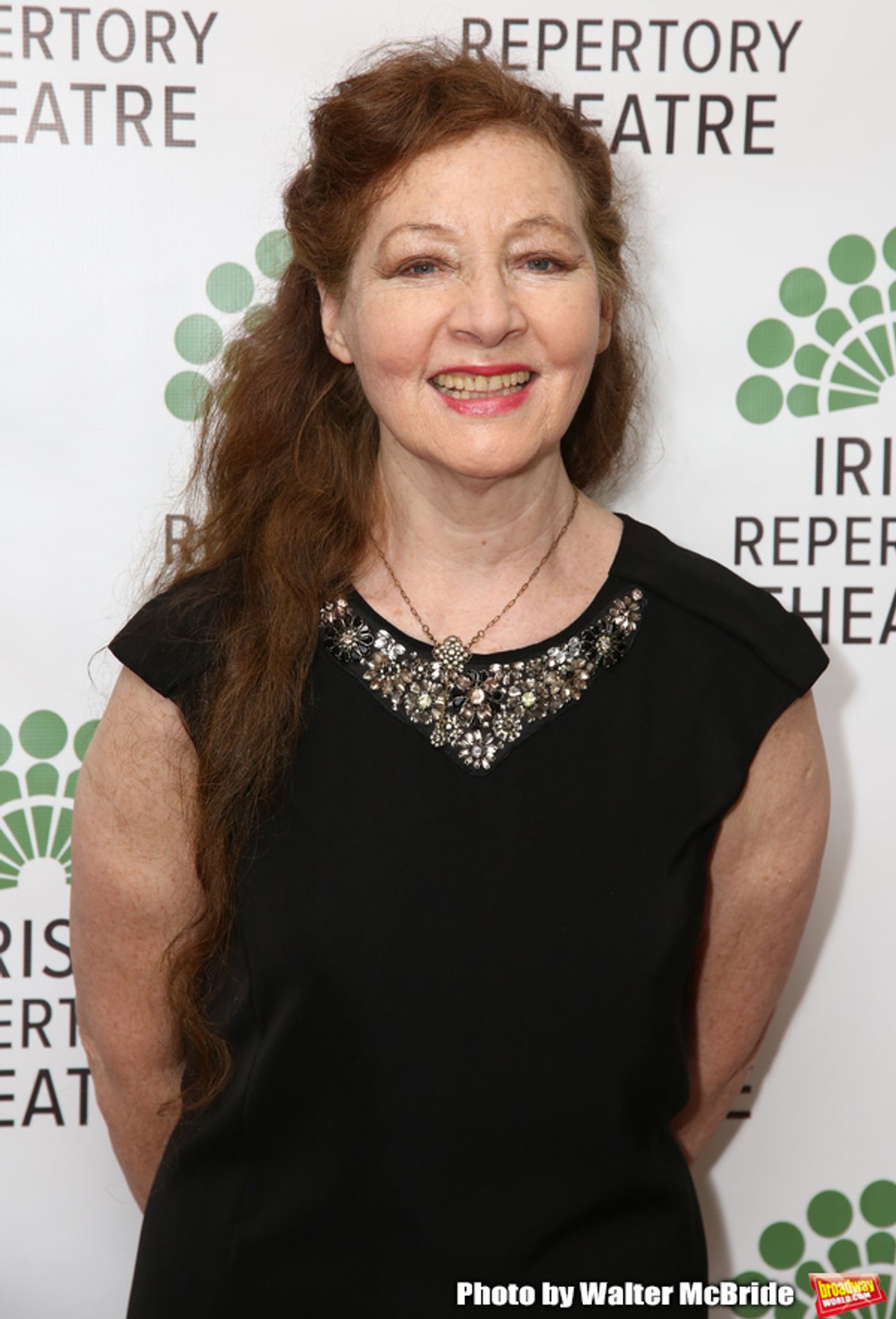 Photo Coverage: Inside Irish Repertory Theatre's 30th Anniversary Celebration Gala  Image