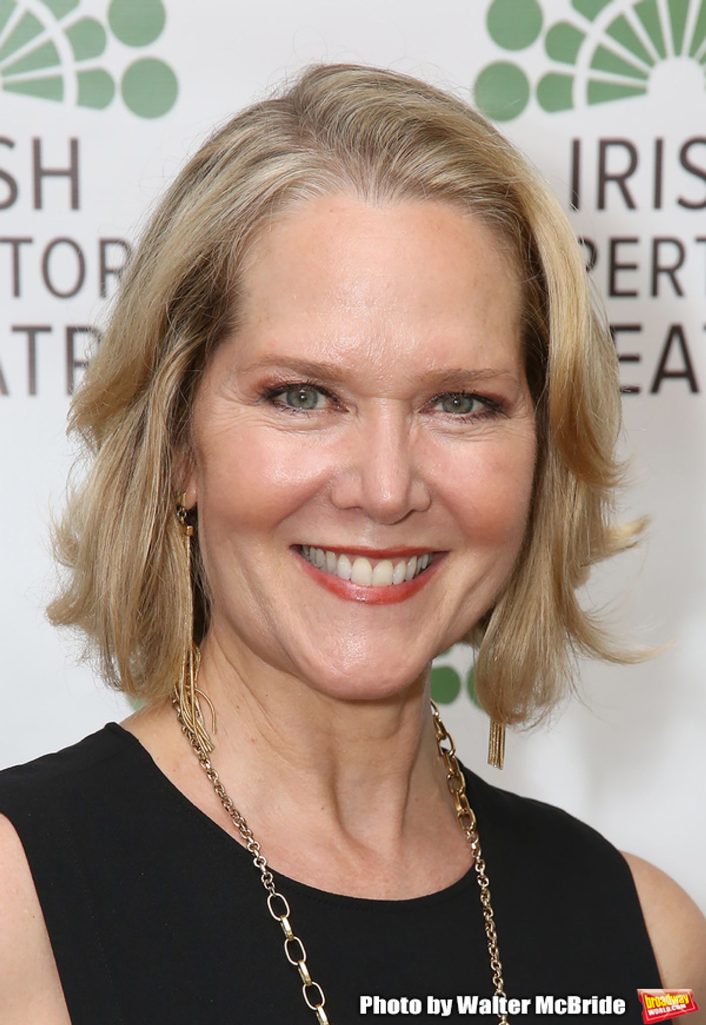 Photo Coverage: Inside Irish Repertory Theatre's 30th Anniversary Celebration Gala  Image