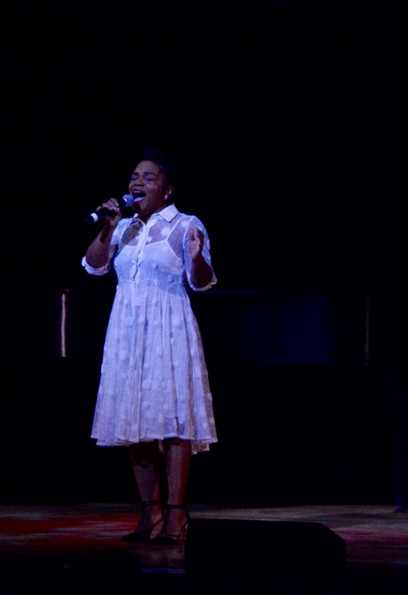 Photo Coverage: Lisa Howard, Kenita Miller, and More Perform at Broadway By The Year: Broadway Musicals Of 1987 and 2015  Image