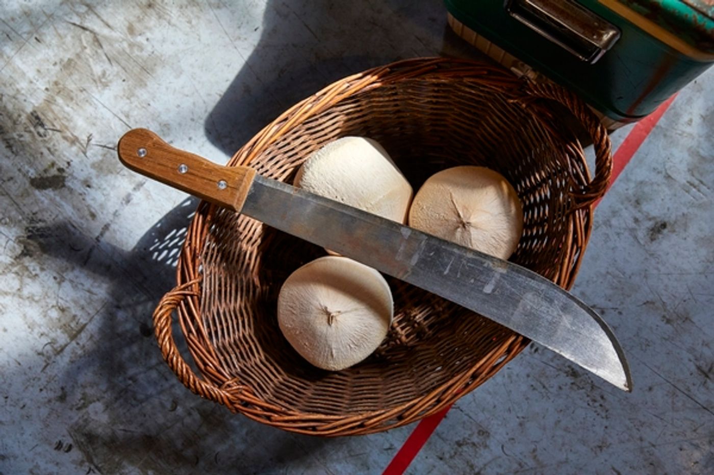 Photo Flash: Inside Rehearsal For THE NIGHT OF THE IGUANA  Image