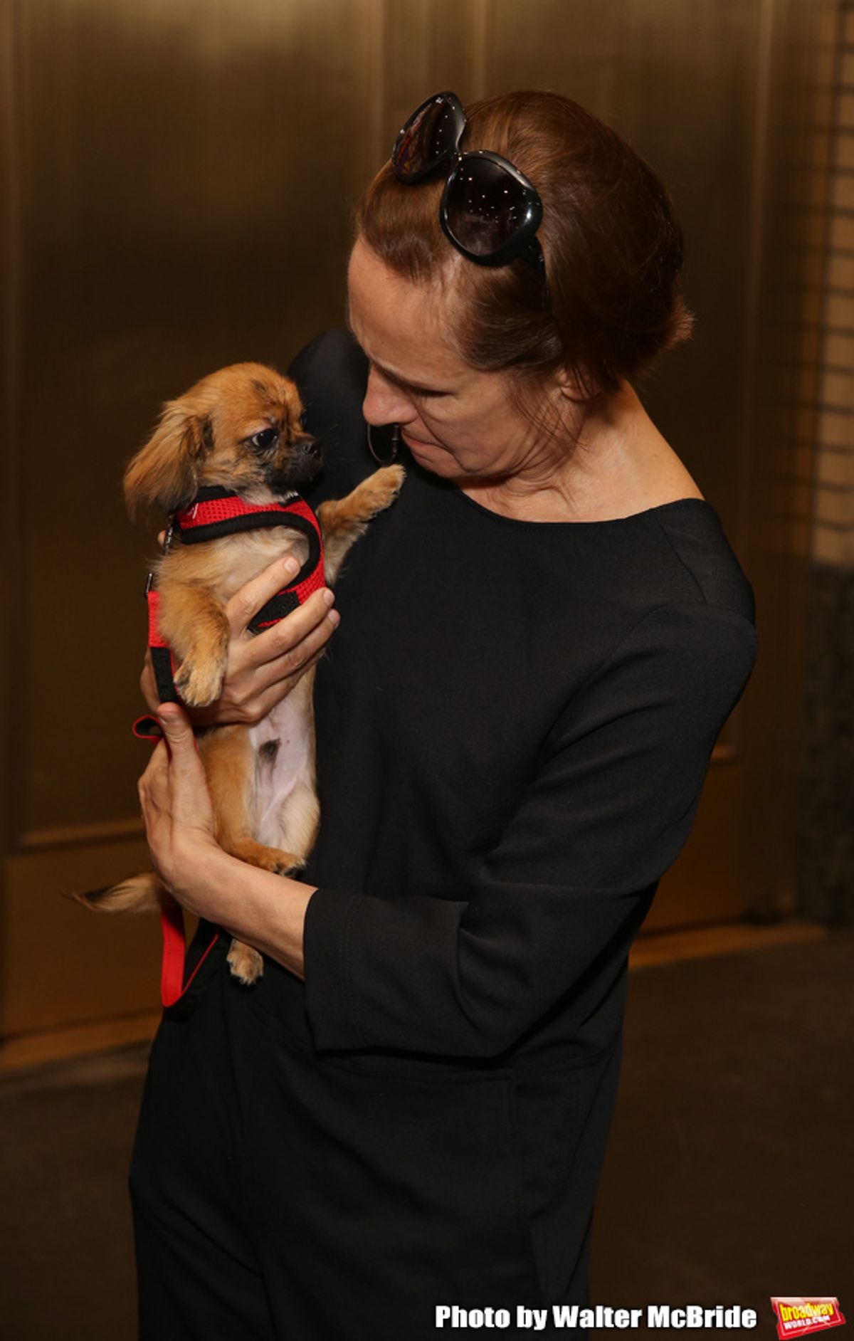 Laurie Metcalf with a dog from The Humane Society of New York at 