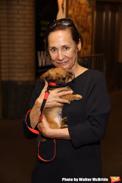Laurie Metcalf with dogs from The Humane Society of New York Photo