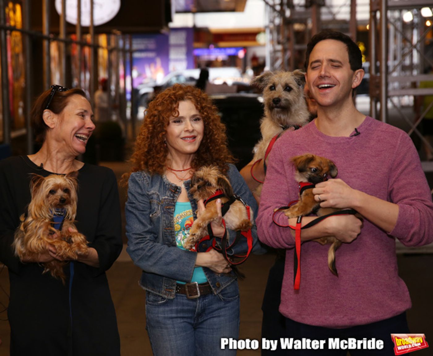 Exclusive Photo Coverage: Construction in Shubert Alley Leaves Broadway Barks Homeless for 2019 Exclusive Photo Coverage: Construction in Shubert Alley Leaves Broadway Barks Homeless for 2019 Image