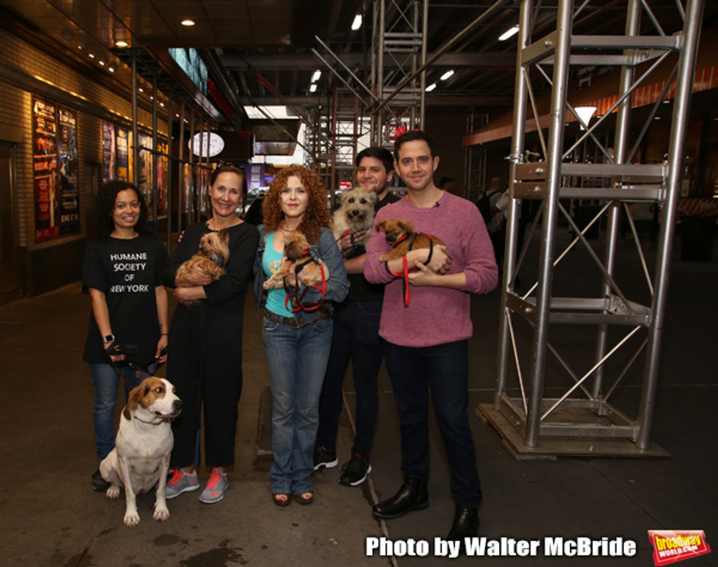 Exclusive Photo Coverage: Construction in Shubert Alley Leaves Broadway Barks Homeless for 2019 Exclusive Photo Coverage: Construction in Shubert Alley Leaves Broadway Barks Homeless for 2019 Image