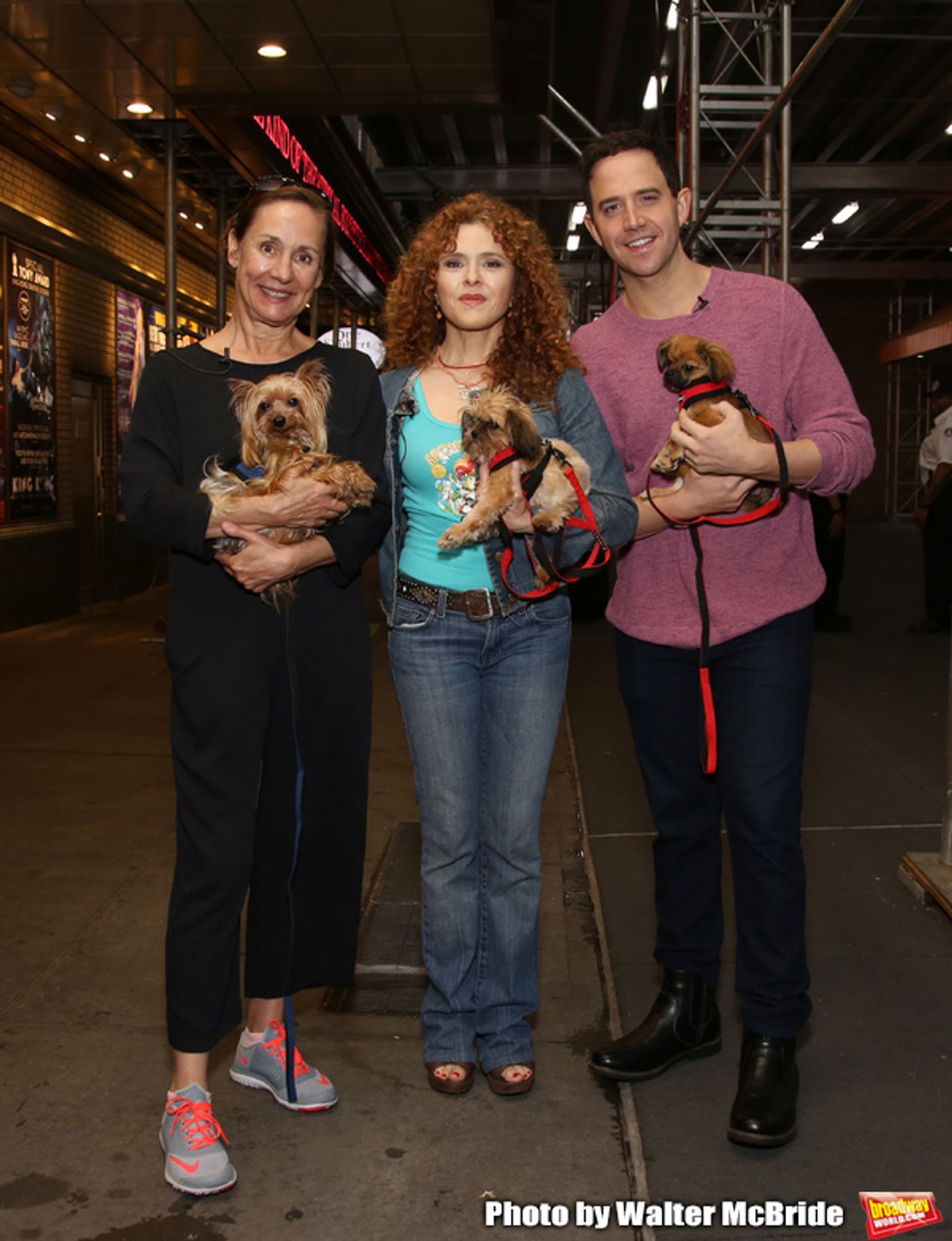 Exclusive Photo Coverage: Construction in Shubert Alley Leaves Broadway Barks Homeless for 2019 Exclusive Photo Coverage: Construction in Shubert Alley Leaves Broadway Barks Homeless for 2019 Image
