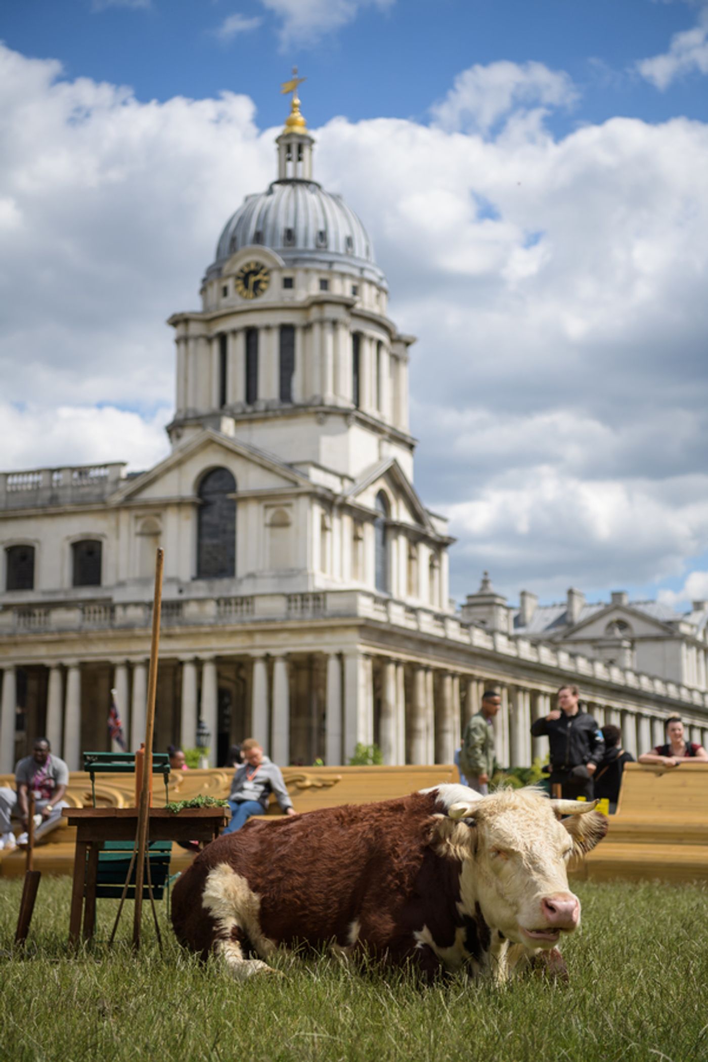 Photo Flash: Greenwich+Docklands International Festival Features PASTURE WITH COWS Photo Flash: Greenwich+Docklands International Festival Features PASTURE WITH COWS Image