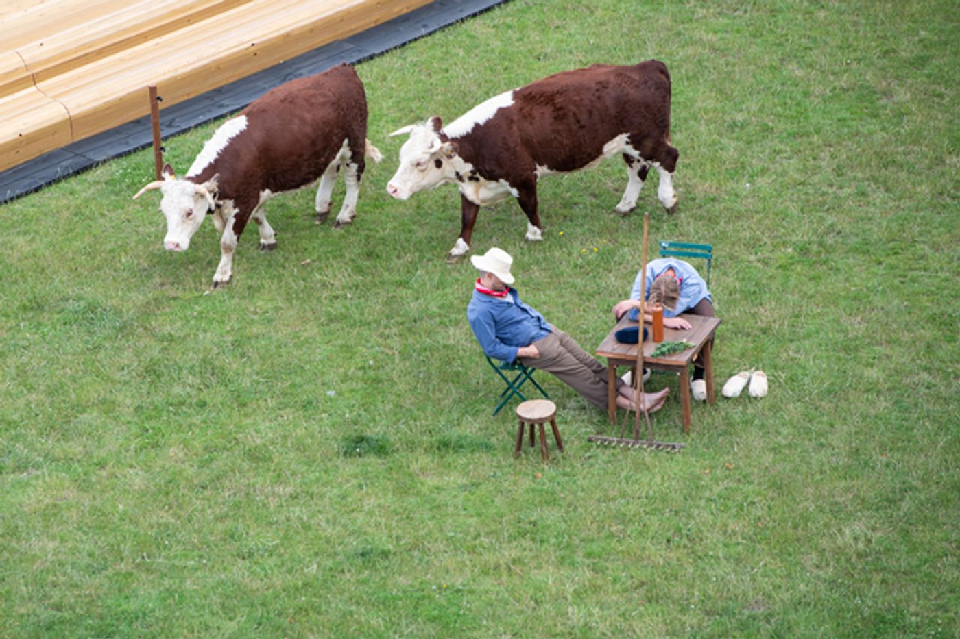 Photo Flash: Greenwich+Docklands International Festival Features PASTURE WITH COWS Photo Flash: Greenwich+Docklands International Festival Features PASTURE WITH COWS Image