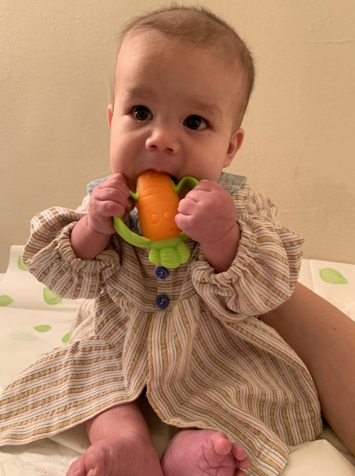 BWW Exclusive: Meet the Smallest Stars on Broadway- The Four Babies of THE FERRYMAN!  Image