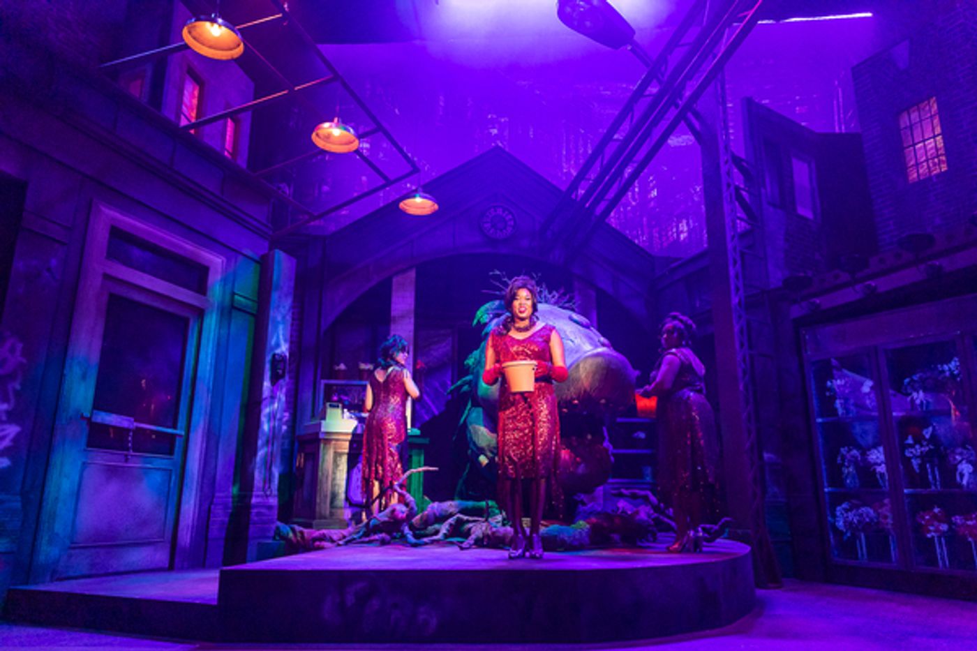 Photo Flash: Get a First Look at LITTLE SHOP OF HORRORS At The Cape Playhouse  Image