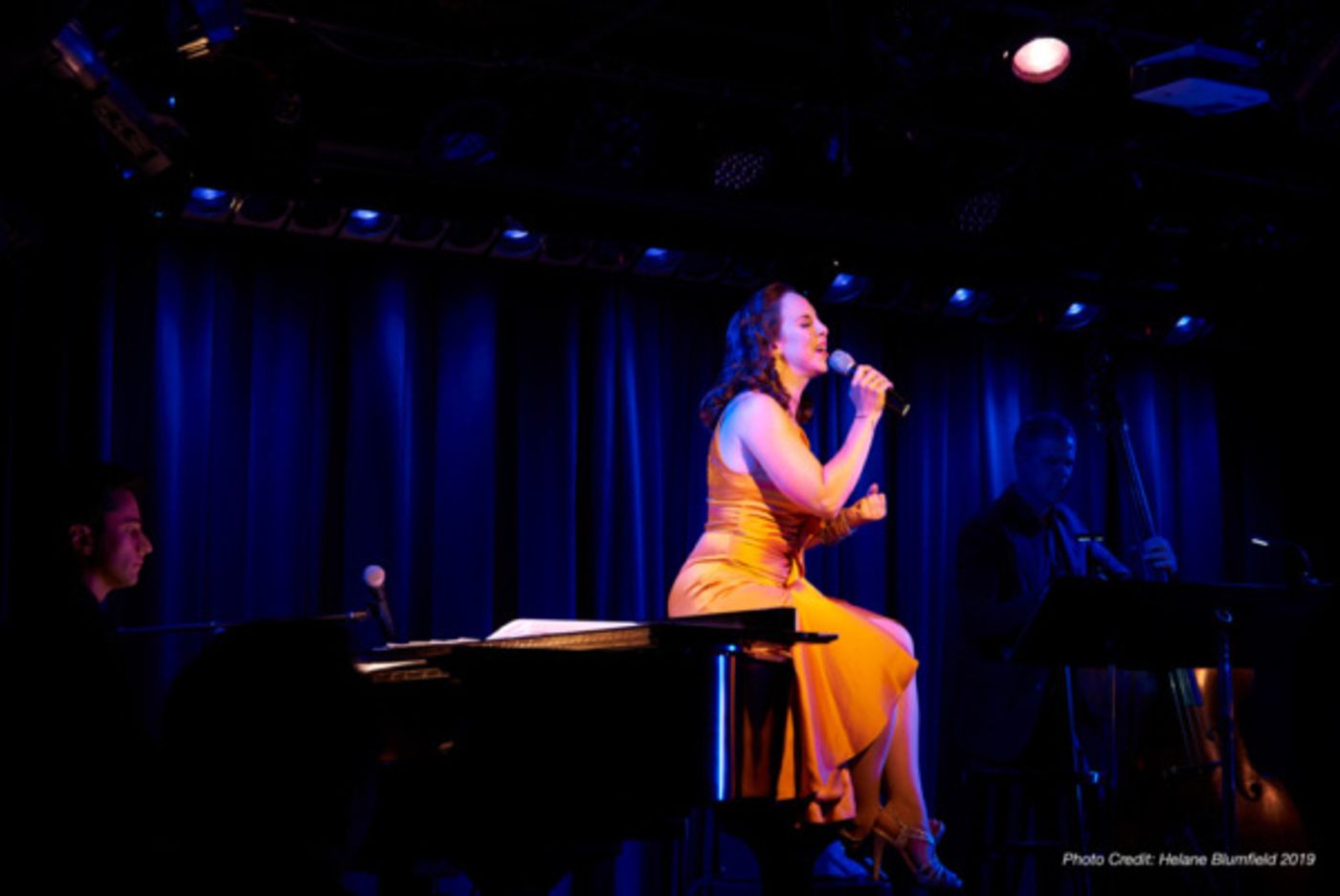 Photo Flash: Dawn Derow Presents THE HOUSE THAT BUILT ME At Laurie Beechman Theatre Photo Flash: Dawn Derow Presents THE HOUSE THAT BUILT ME At Laurie Beechman Theatre Image