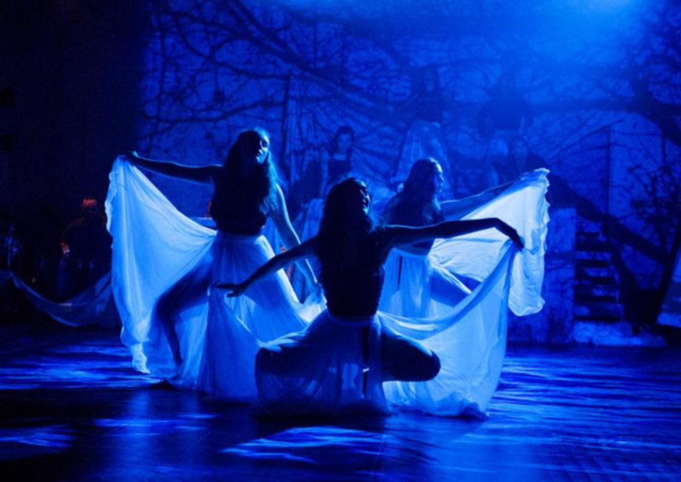 Photo Flash: R.Evolución Latina Presents THE TEMPEST  Image