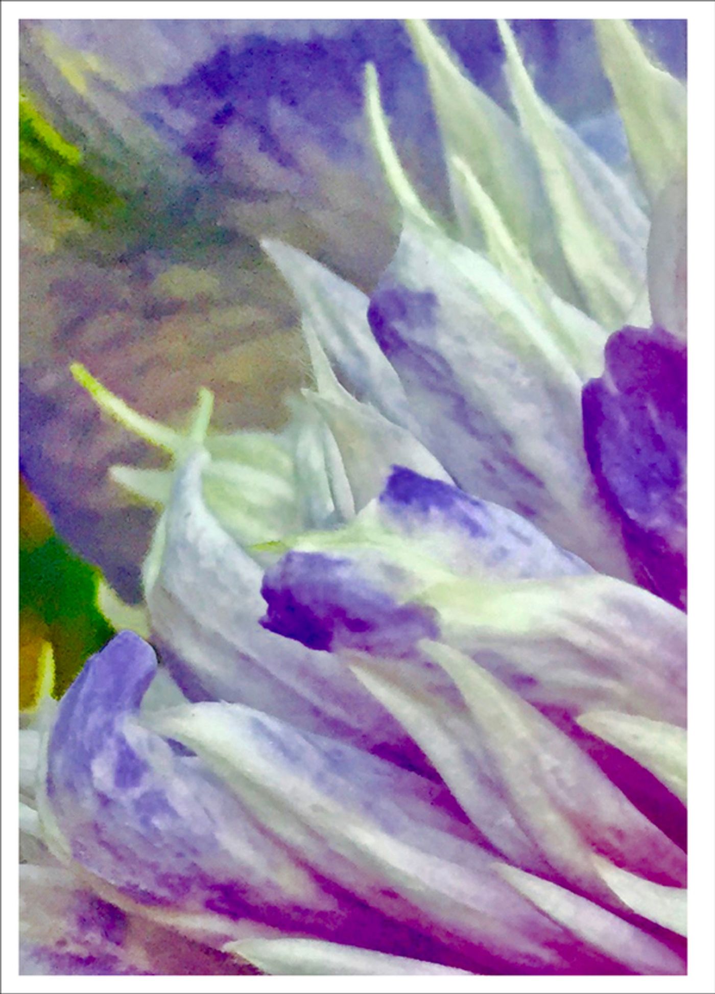 Photo Flash: First Look at Photography from Joel Grey's THE FLOWER WHISPERER Photo Flash: First Look at Photography from Joel Grey's THE FLOWER WHISPERER Image