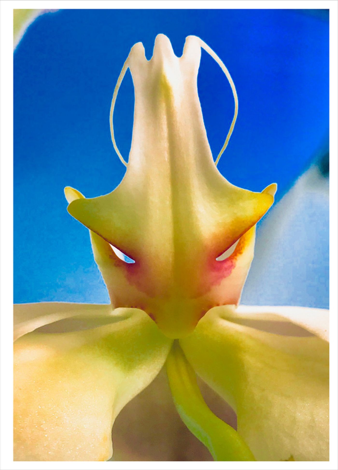 Photo Flash: First Look at Photography from Joel Grey's THE FLOWER WHISPERER Photo Flash: First Look at Photography from Joel Grey's THE FLOWER WHISPERER Image