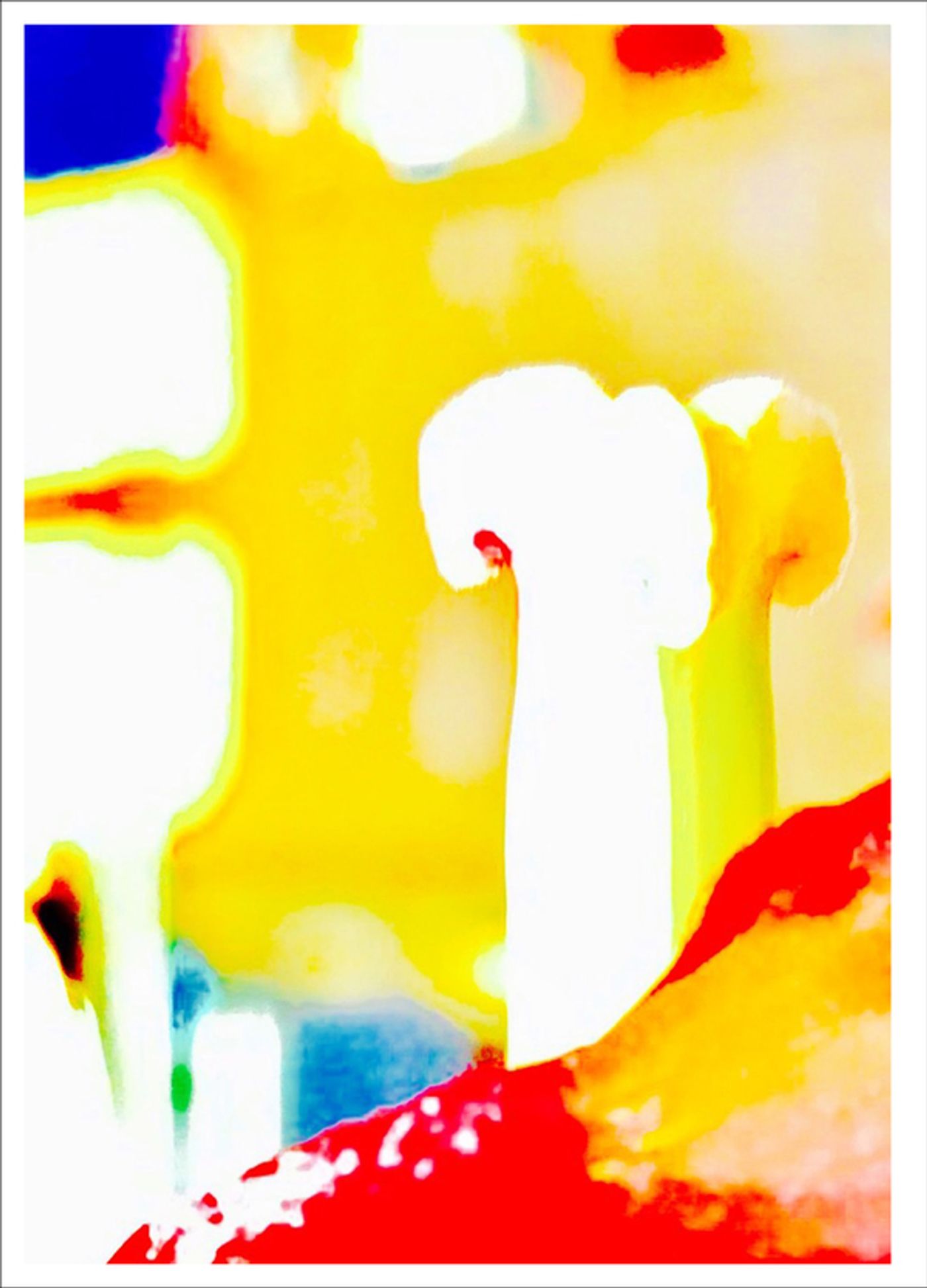 Photo Flash: First Look at Photography from Joel Grey's THE FLOWER WHISPERER Photo Flash: First Look at Photography from Joel Grey's THE FLOWER WHISPERER Image