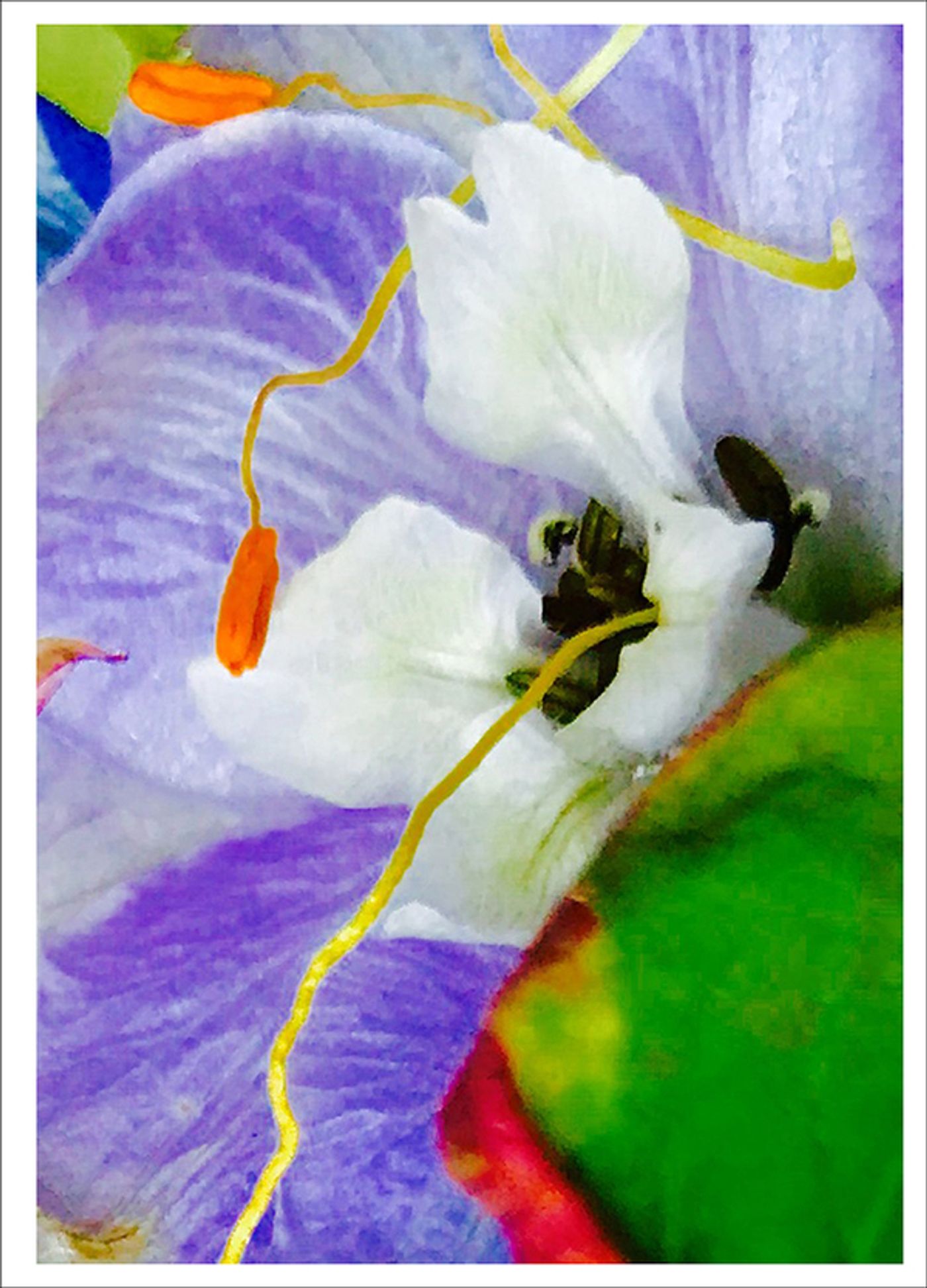 Photo Flash: First Look at Photography from Joel Grey's THE FLOWER WHISPERER Photo Flash: First Look at Photography from Joel Grey's THE FLOWER WHISPERER Image