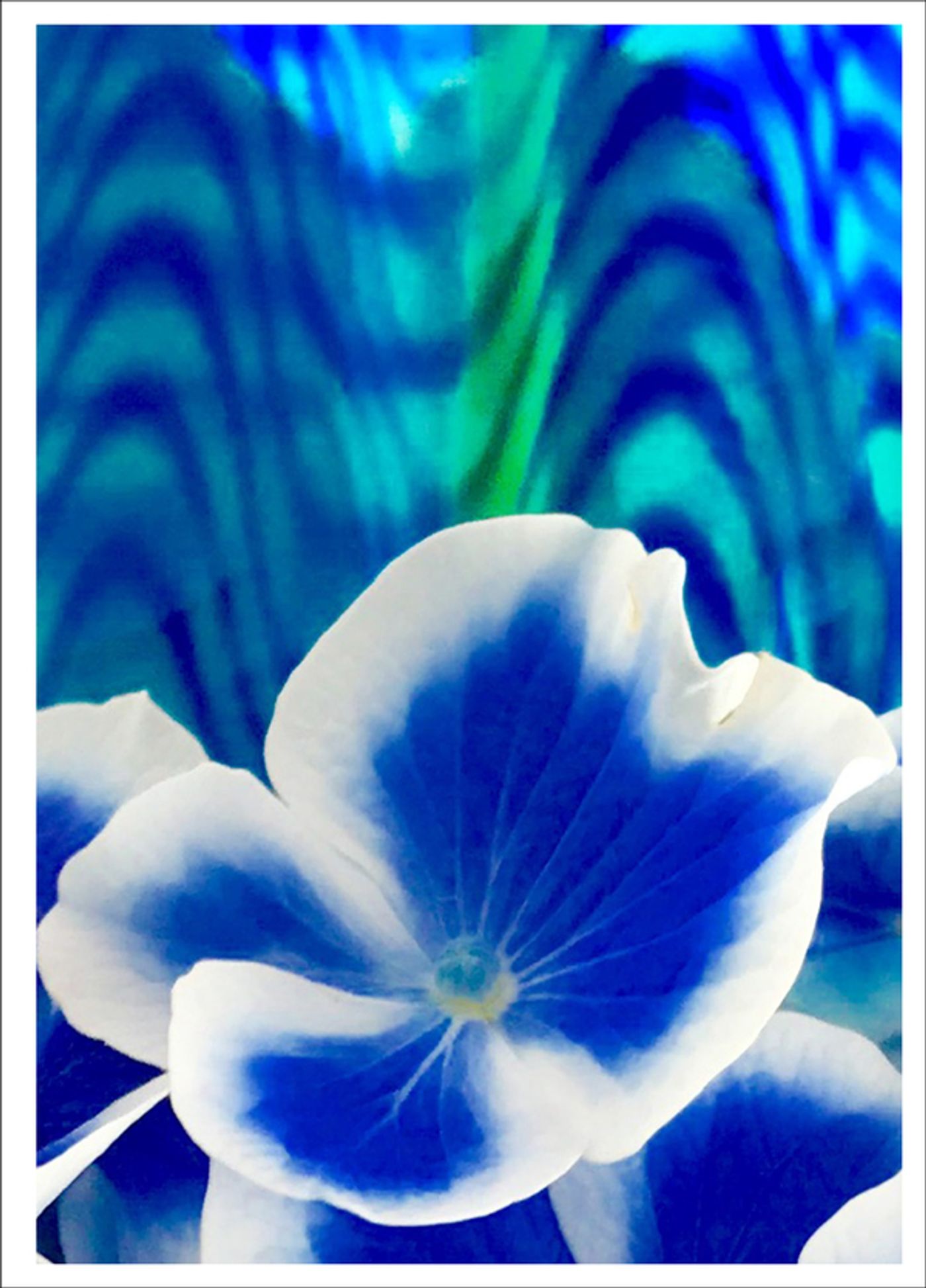 Photo Flash: First Look at Photography from Joel Grey's THE FLOWER WHISPERER Photo Flash: First Look at Photography from Joel Grey's THE FLOWER WHISPERER Image