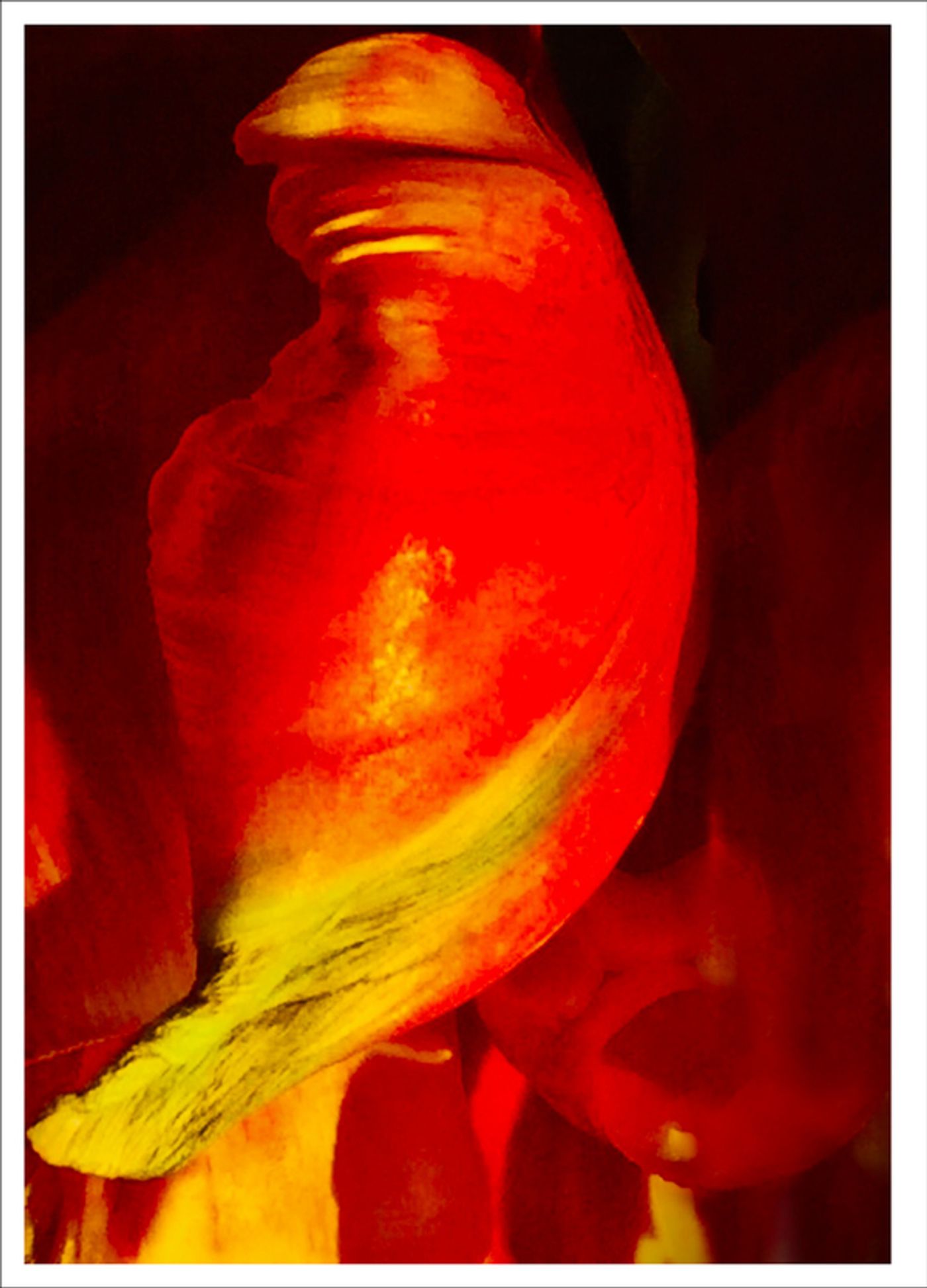 Photo Flash: First Look at Photography from Joel Grey's THE FLOWER WHISPERER Photo Flash: First Look at Photography from Joel Grey's THE FLOWER WHISPERER Image