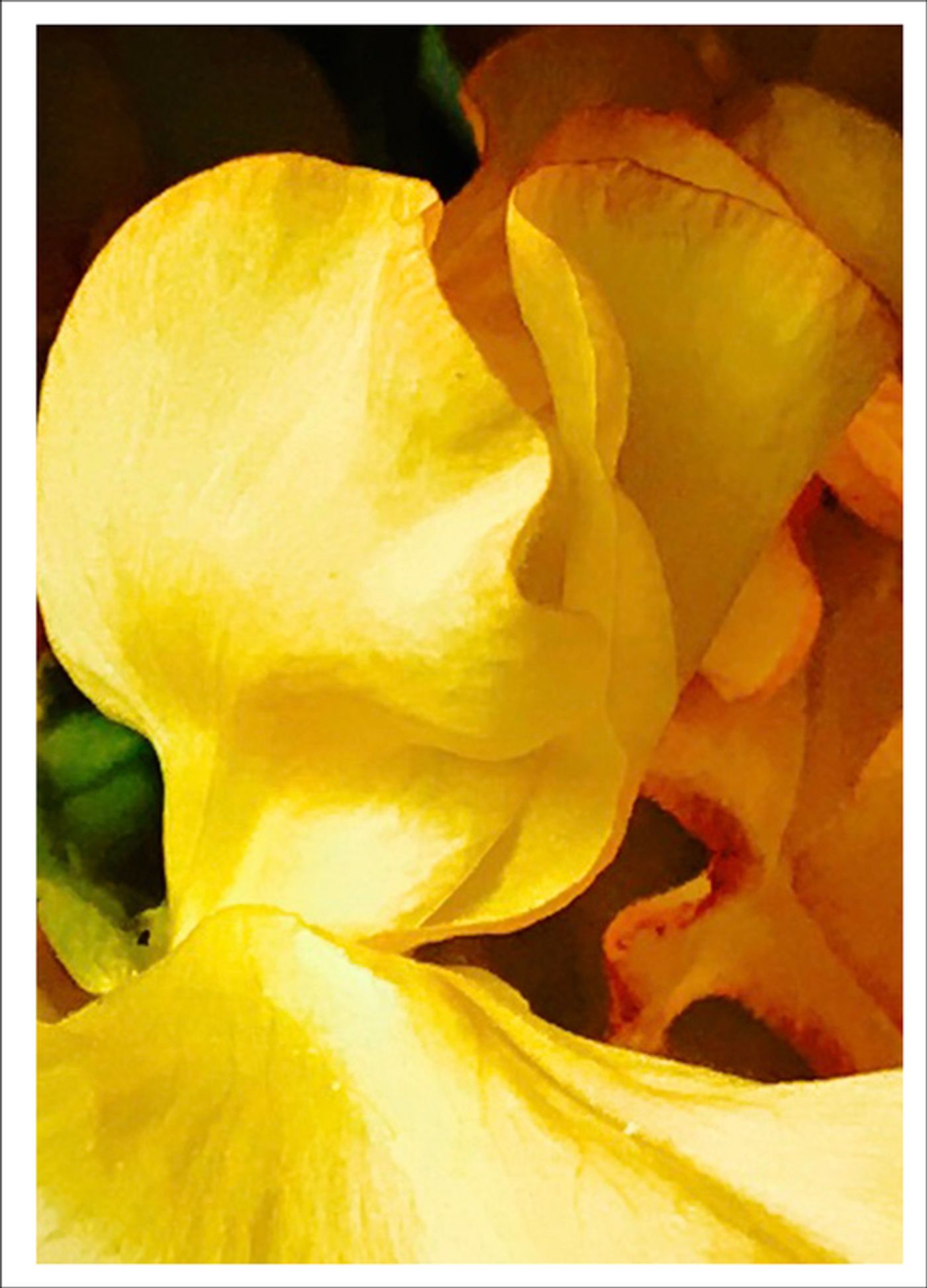 Photo Flash: First Look at Photography from Joel Grey's THE FLOWER WHISPERER Photo Flash: First Look at Photography from Joel Grey's THE FLOWER WHISPERER Image