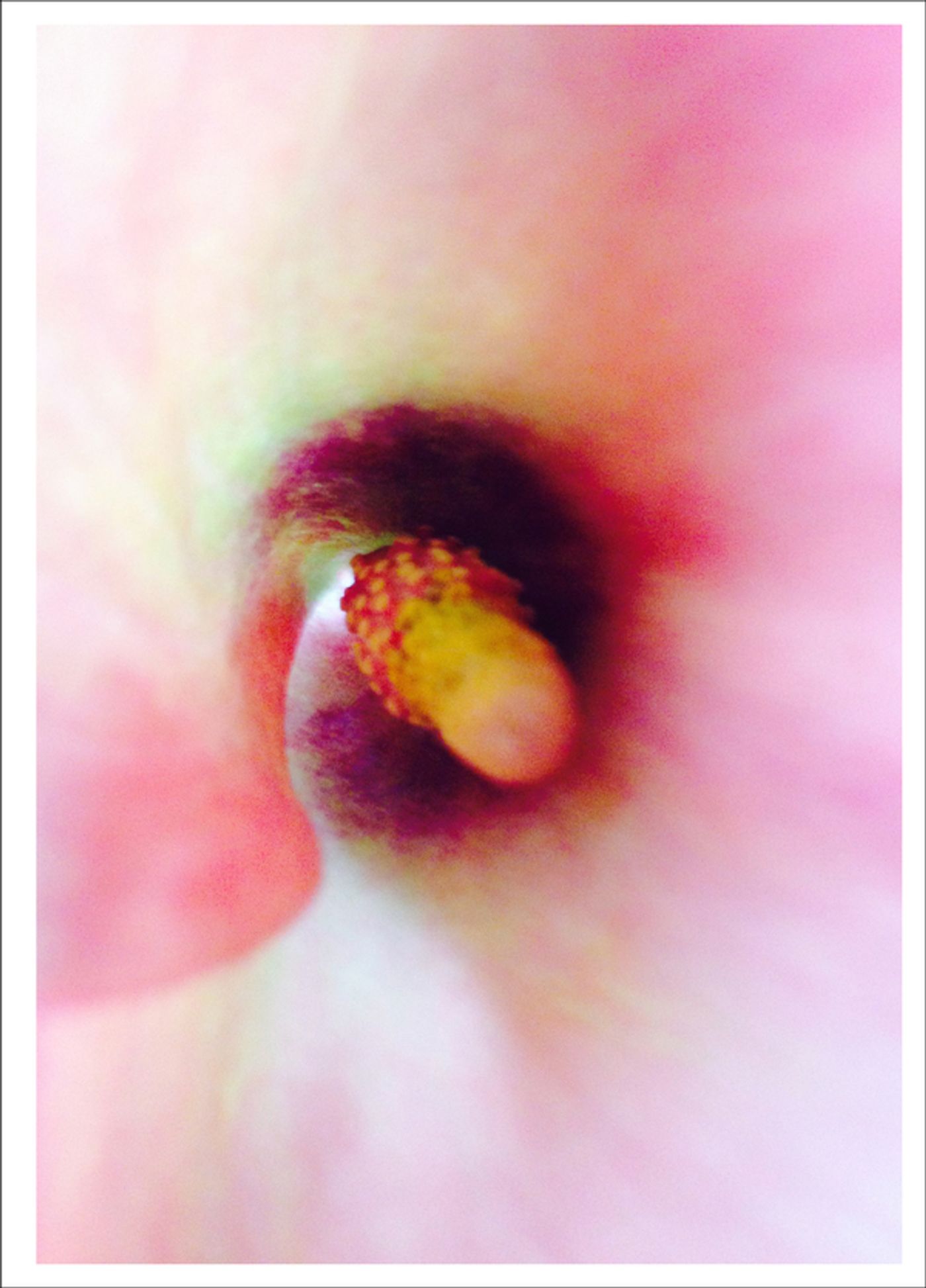 Photo Flash: First Look at Photography from Joel Grey's THE FLOWER WHISPERER Photo Flash: First Look at Photography from Joel Grey's THE FLOWER WHISPERER Image