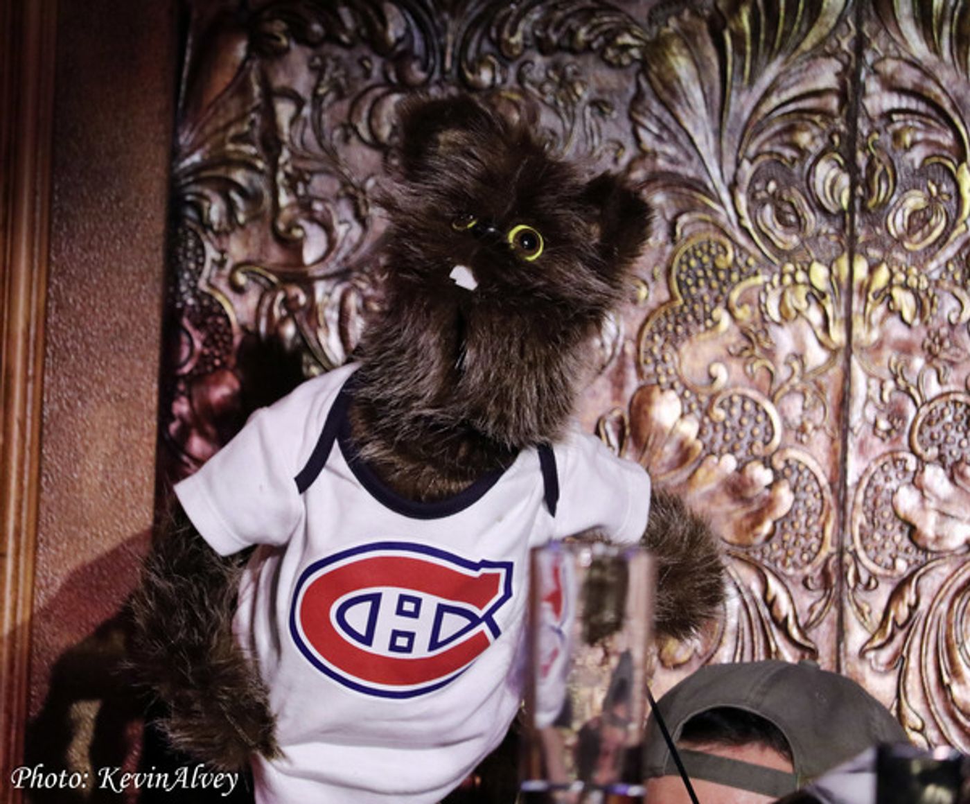 Photo Coverage: Joshua Stackhouse Celebrates Canada Day at Feinstein's/54Below  Image