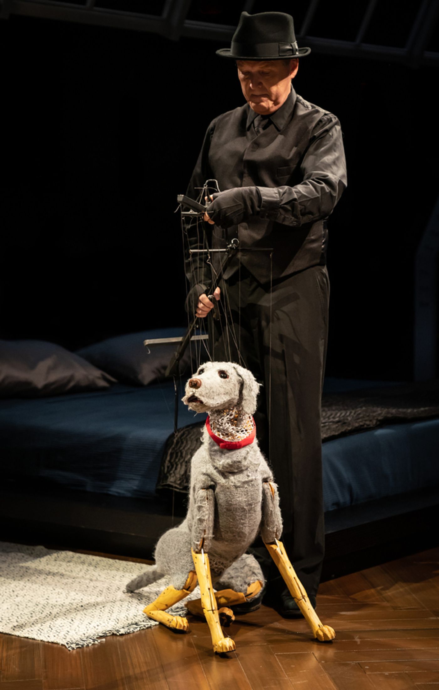 Photo Flash: First Look at DARLING GRENADINE at the Marriott Theatre Photo Flash: First Look at DARLING GRENADINE at the Marriott Theatre Image