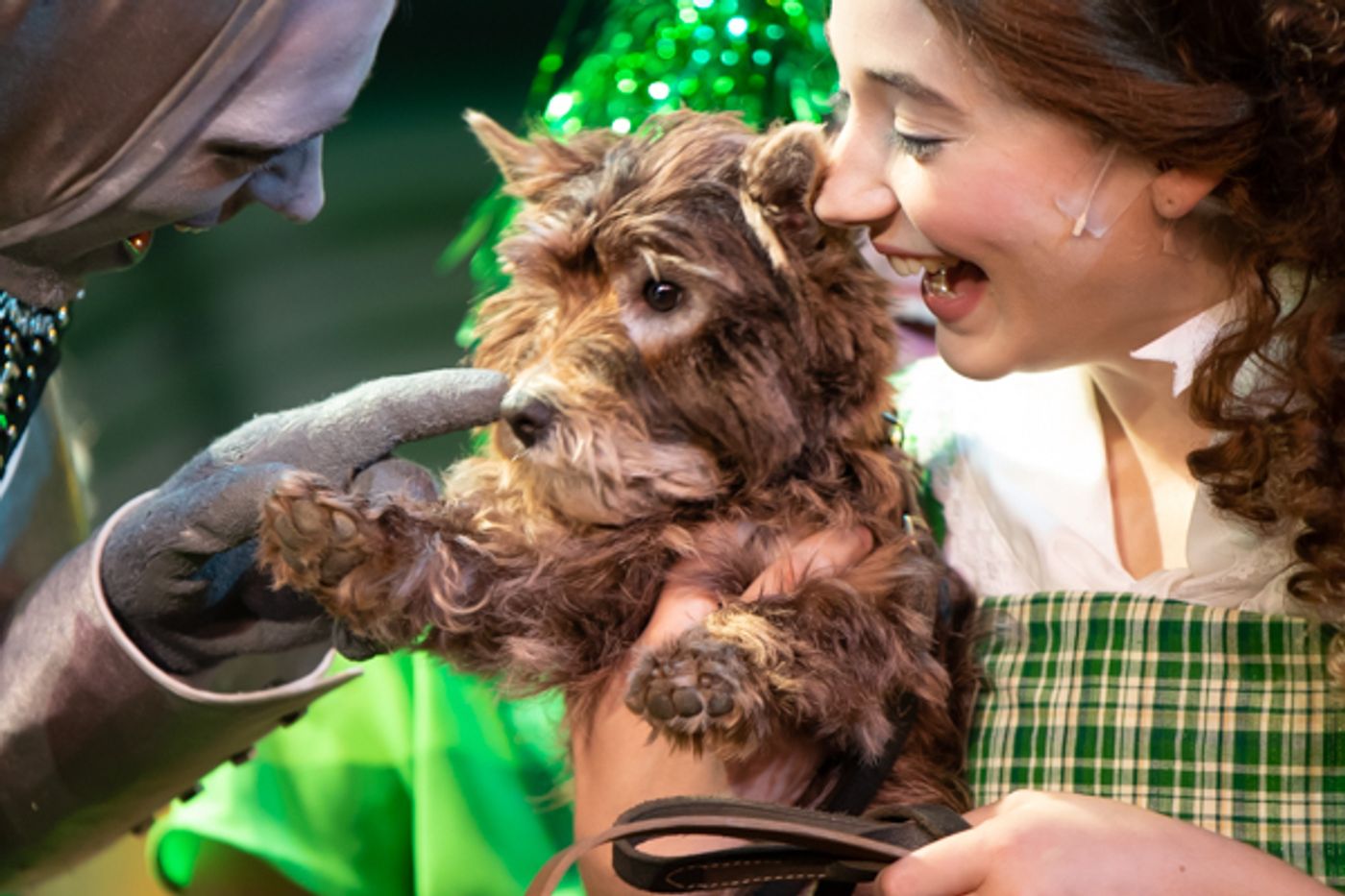 Photo Coverage: First look at MTVarts' THE WIZARD OF OZ  Image