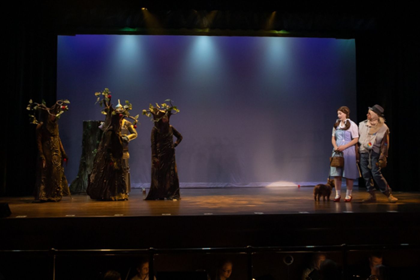Photo Coverage: First look at MTVarts' THE WIZARD OF OZ  Image