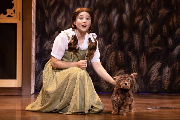 Photo Coverage: First look at MTVarts' THE WIZARD OF OZ — photo 4 of 48