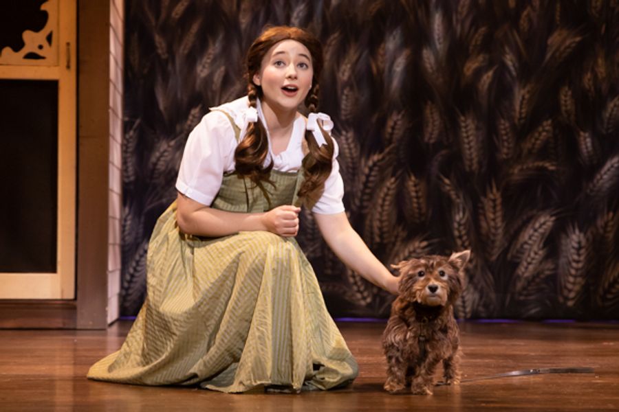 Photo Coverage: First look at MTVarts' THE WIZARD OF OZ Image