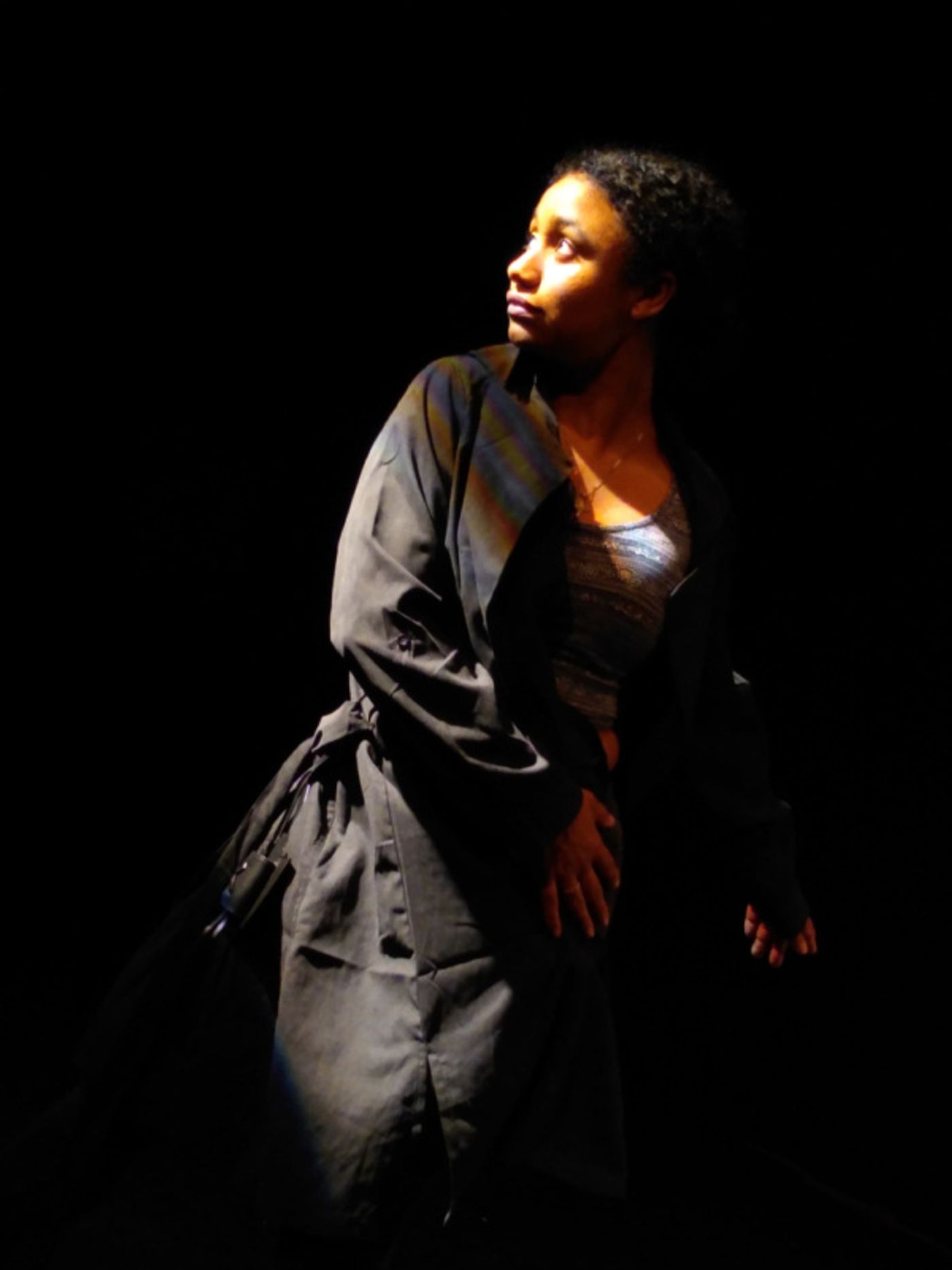 Photo Flash: First Look at MAHOGANY BROWN AT THE CASE OF THE DISAPPEARING KID at The Tank Photo Flash: First Look at MAHOGANY BROWN AT THE CASE OF THE DISAPPEARING KID at The Tank Image